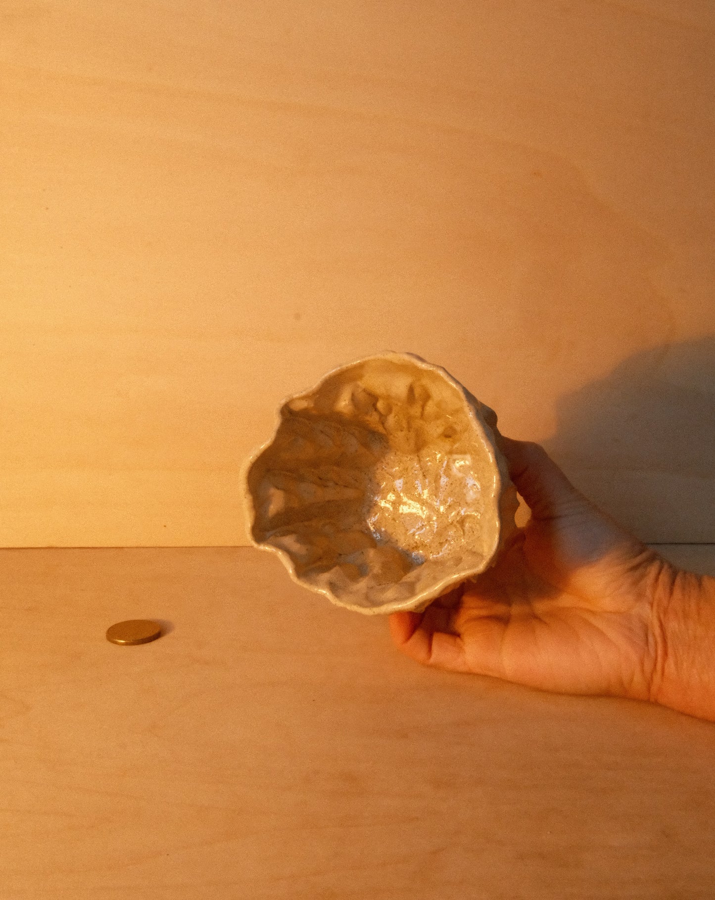 DUSK MOREL CUP 003