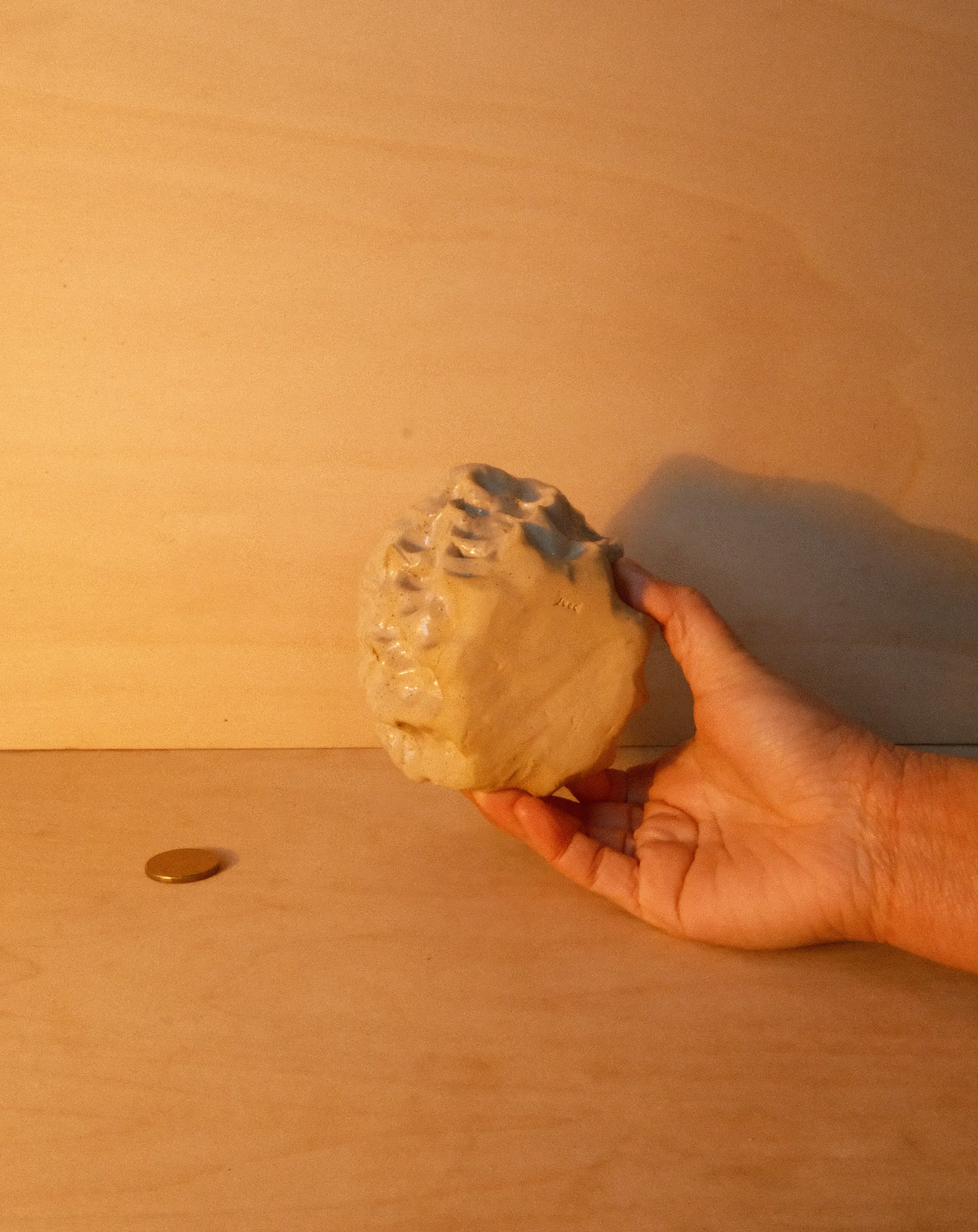 DUSK MOREL CUP 003