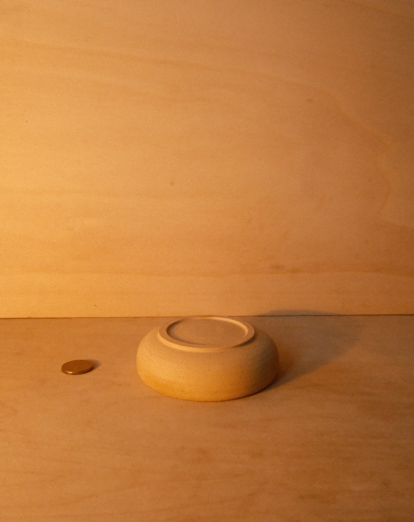 RED DISH 001