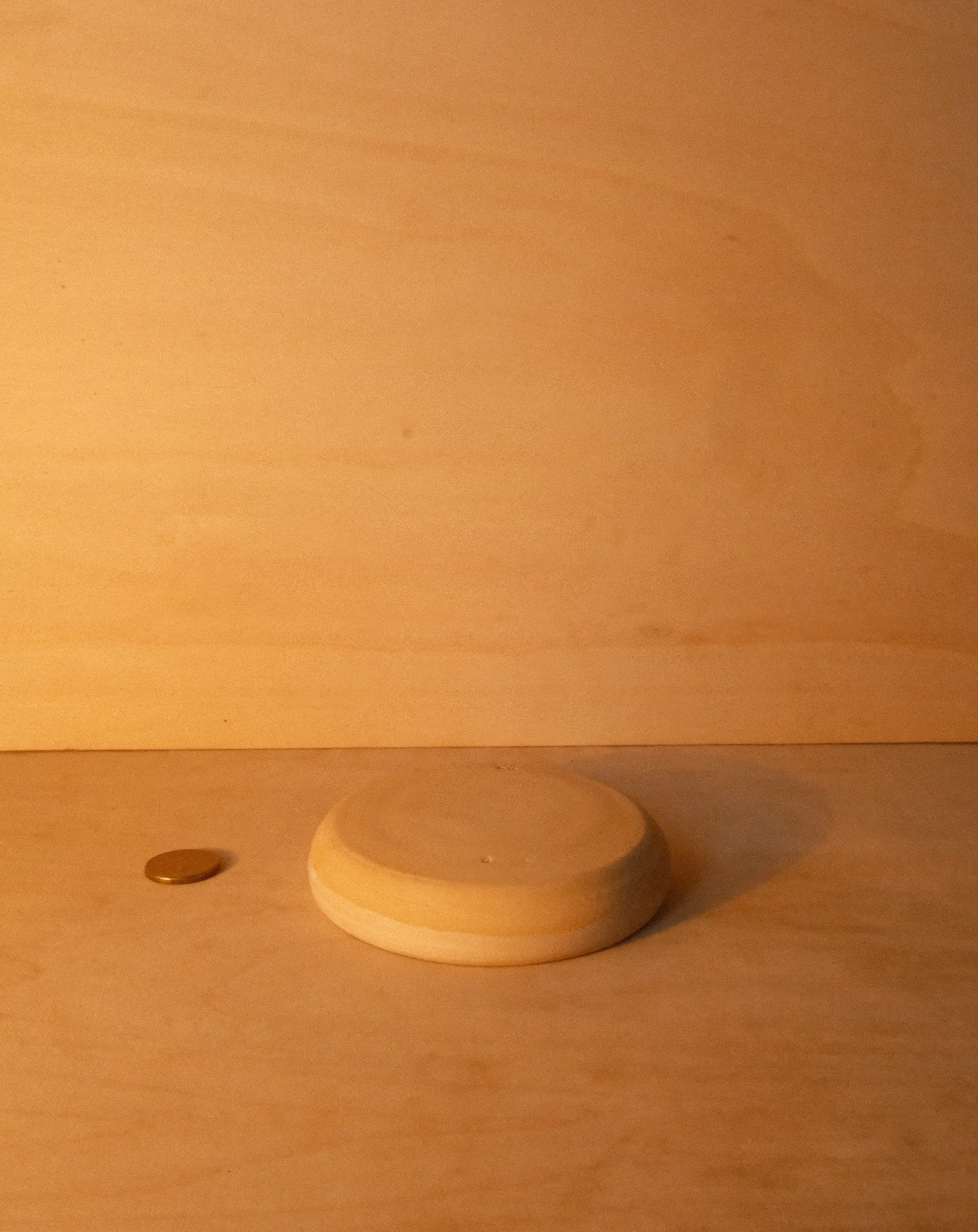 WHITE DISH 001