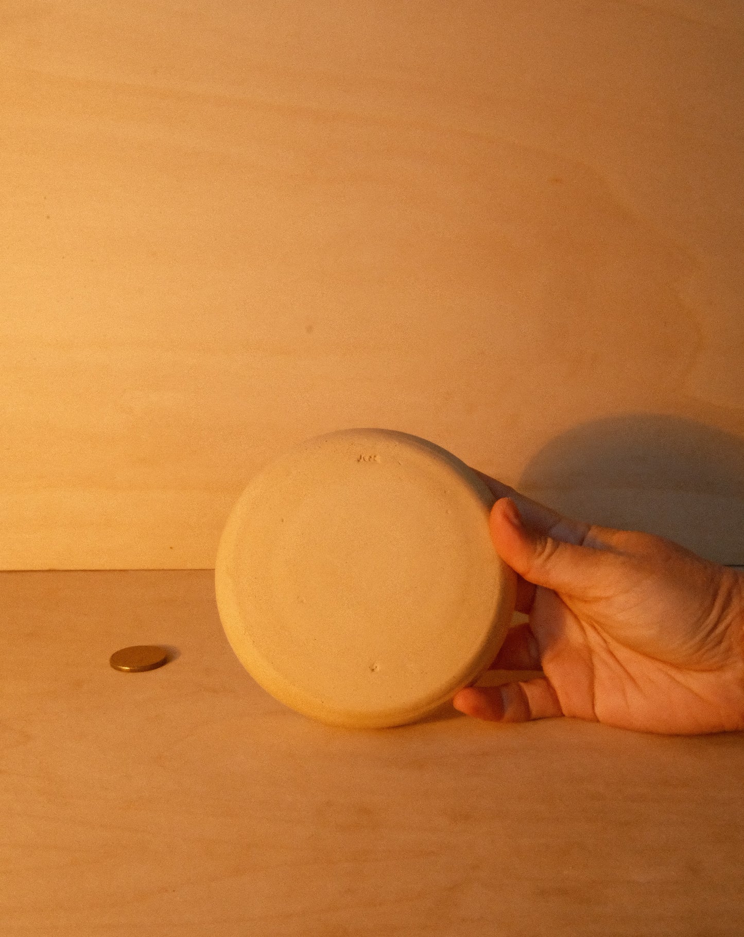 WHITE DISH 001