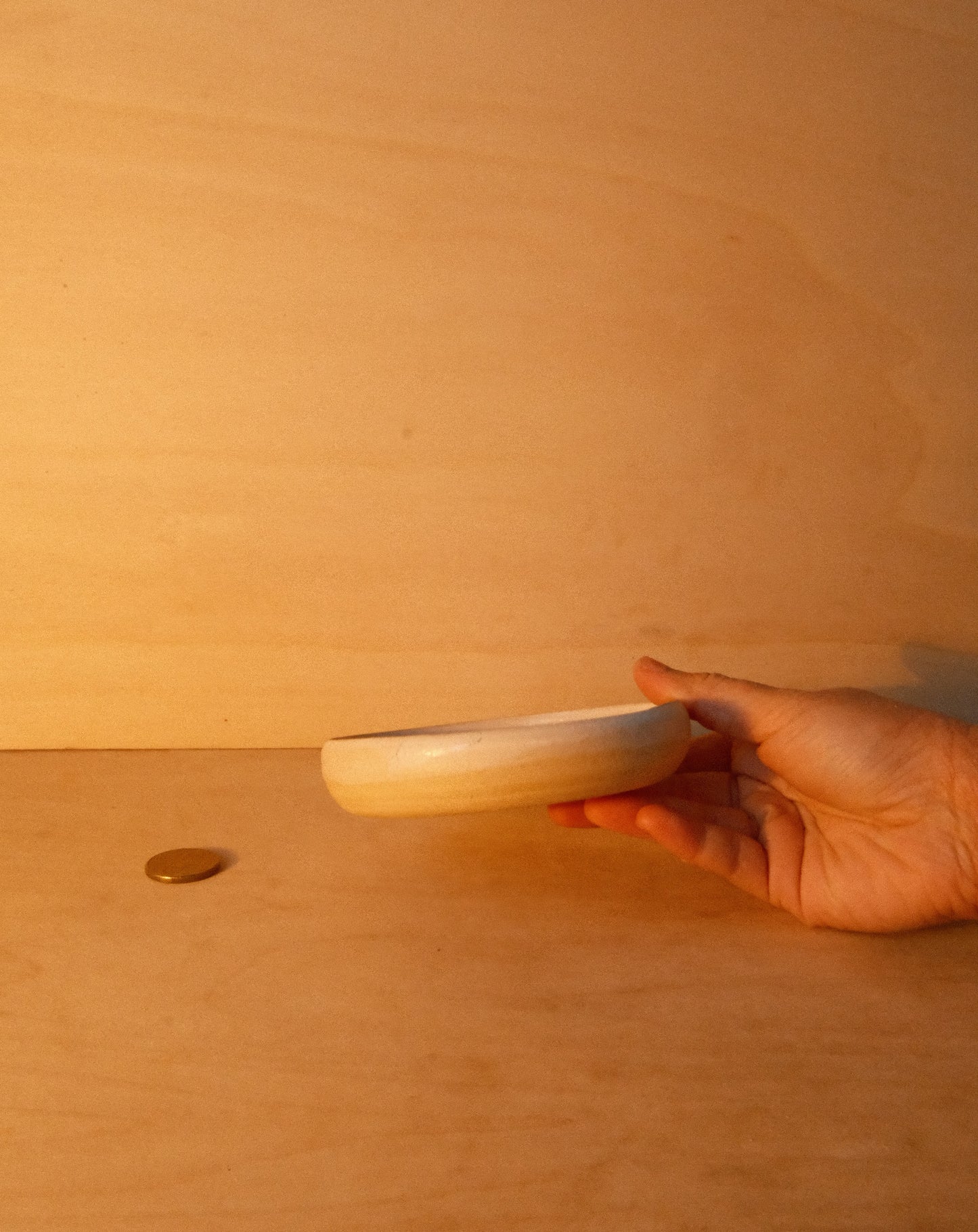 WHITE DISH 001