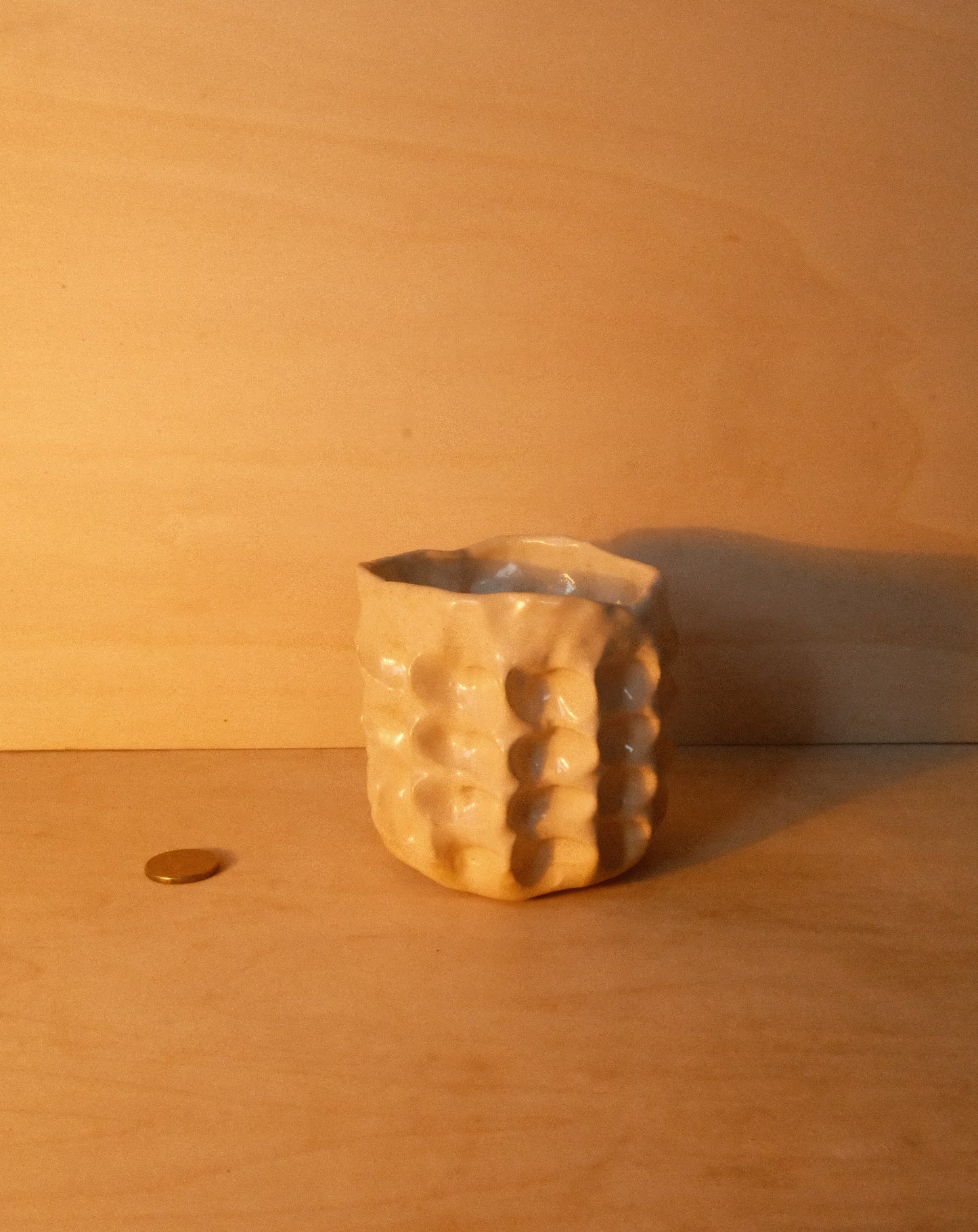 DUSK MOREL CUP 004