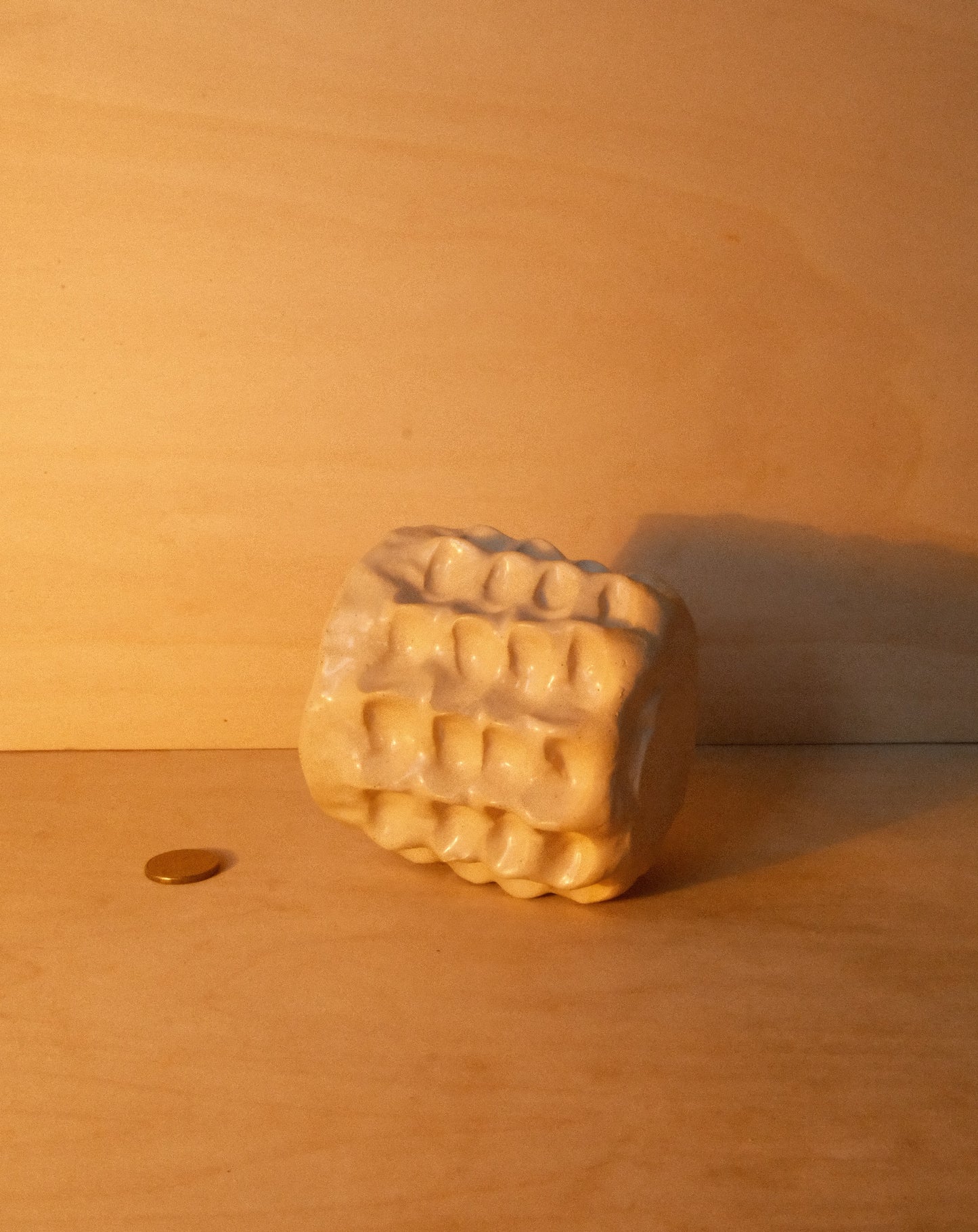 DUSK MOREL CUP 004