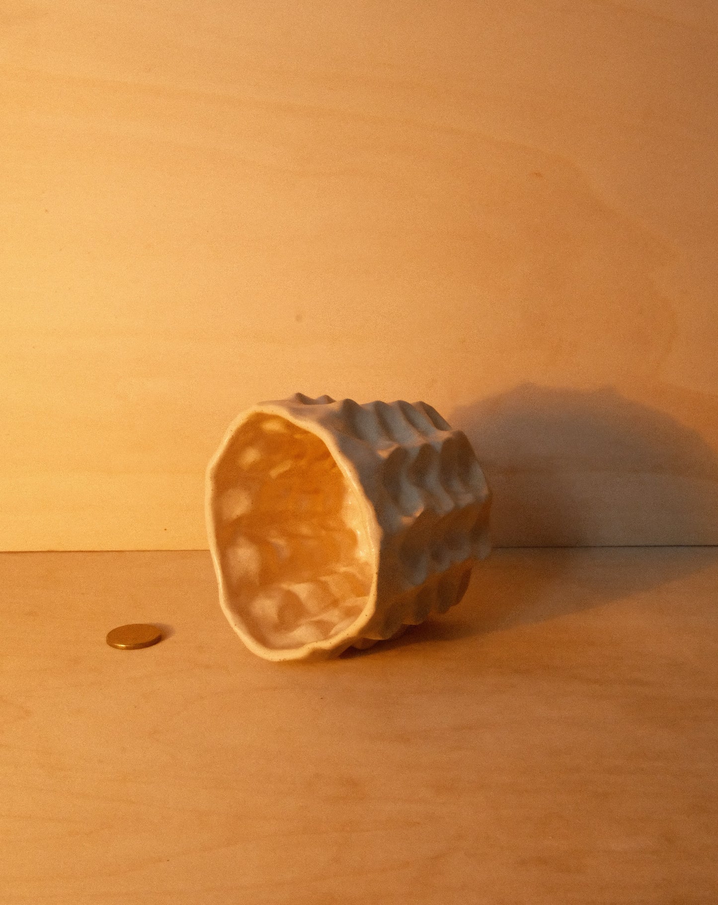 DUSK MOREL CUP 004