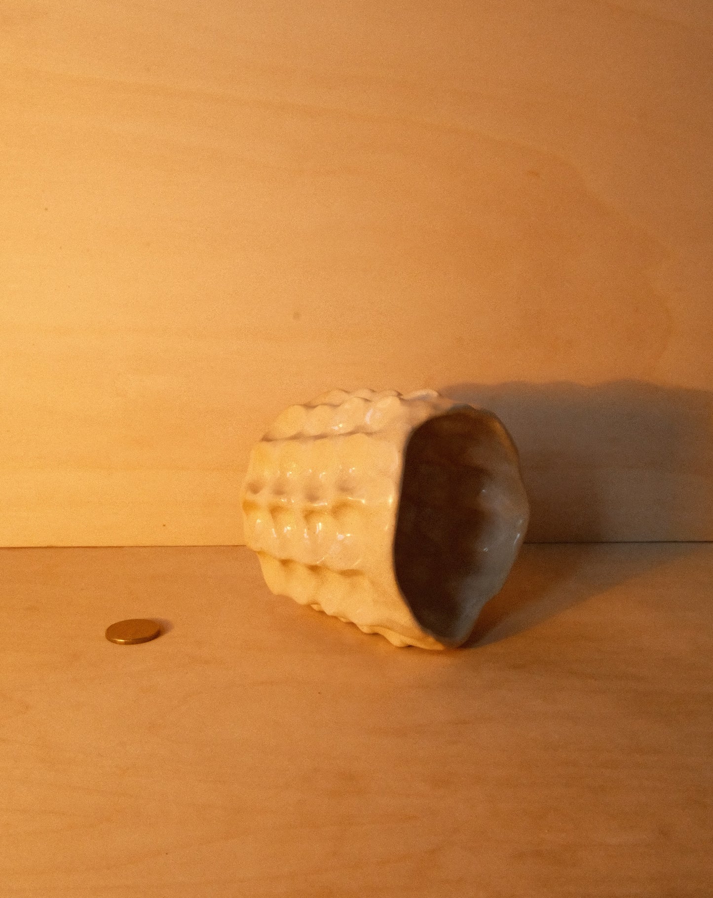 DUSK MOREL CUP 004