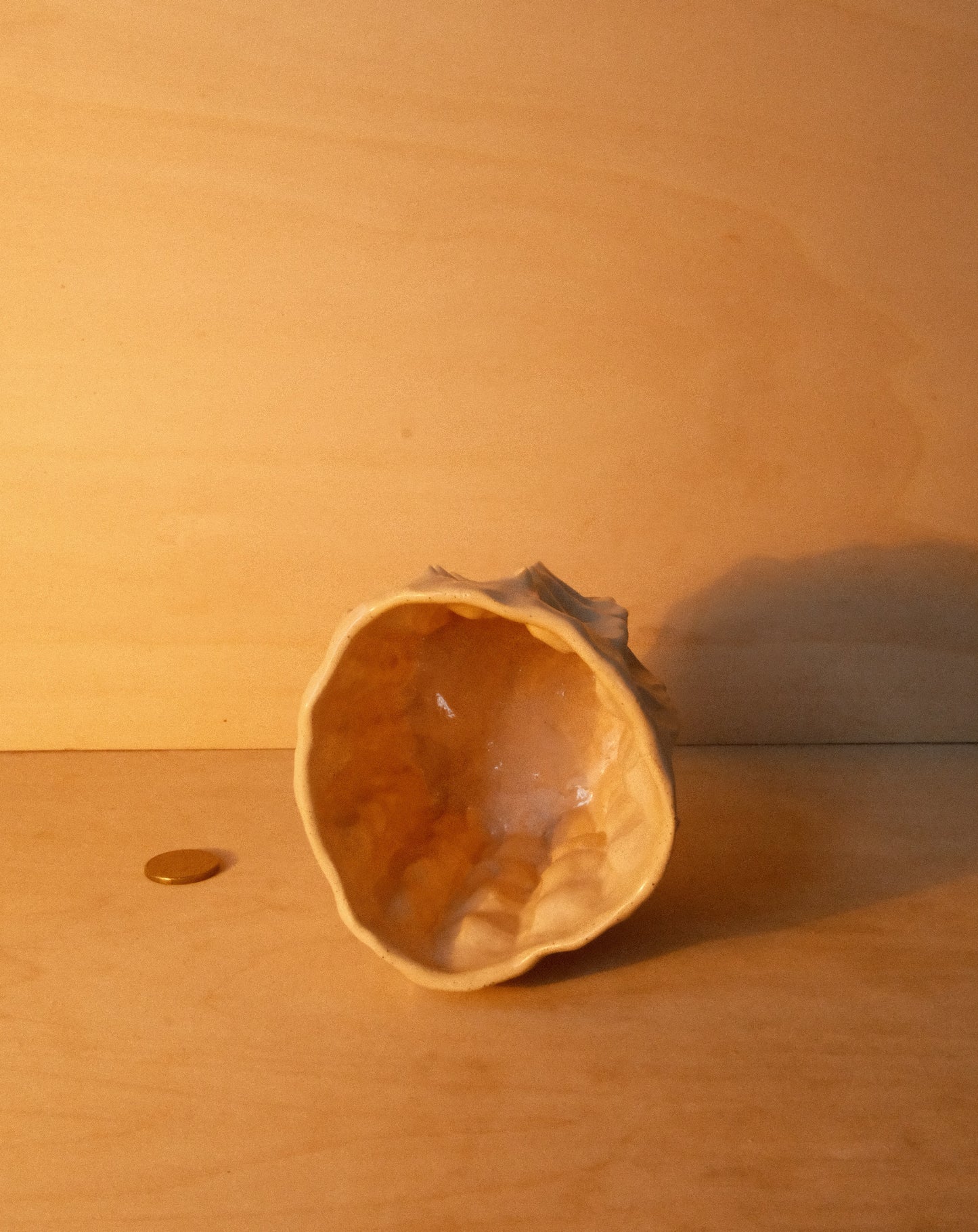 DUSK MOREL CUP 004