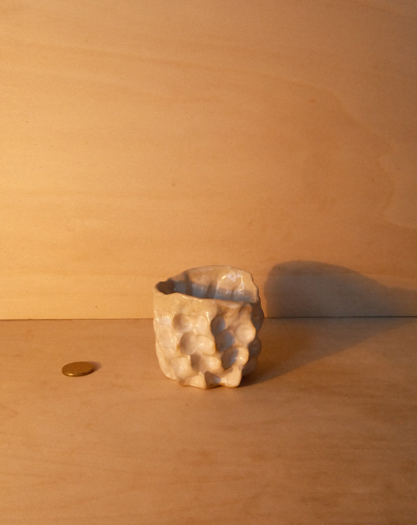 WHITE MOREL CUP 006