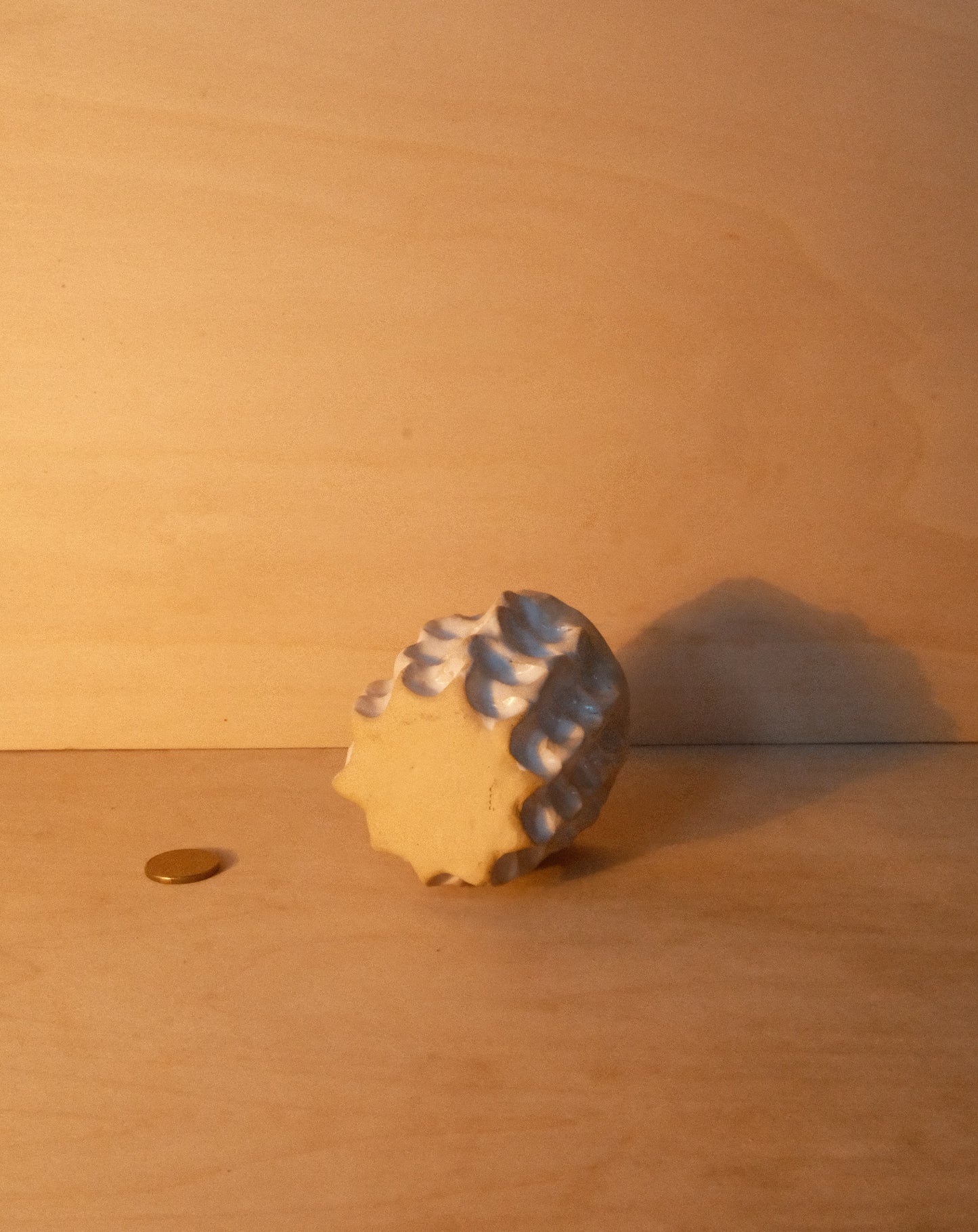 WHITE MOREL CUP 006