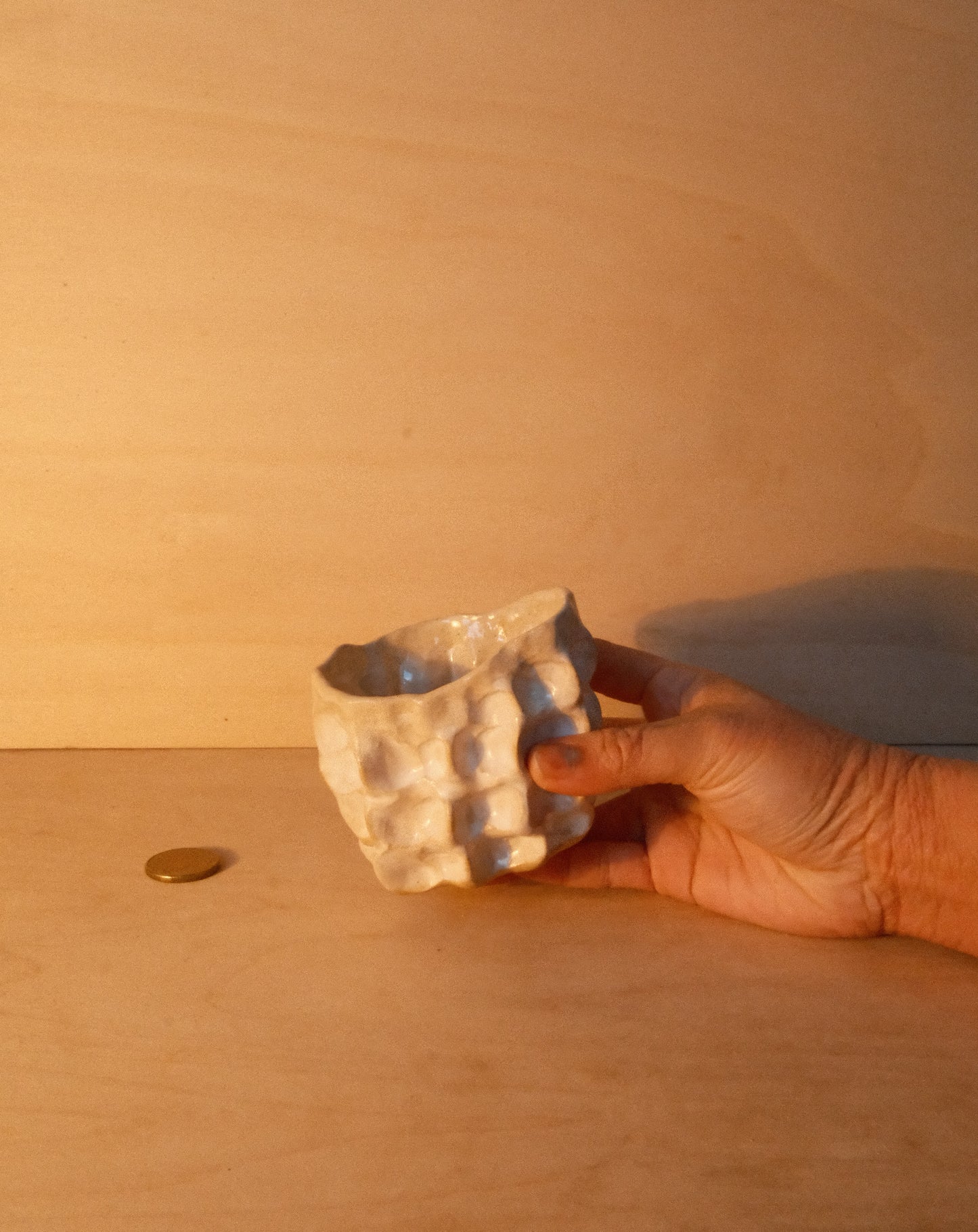WHITE MOREL CUP 006