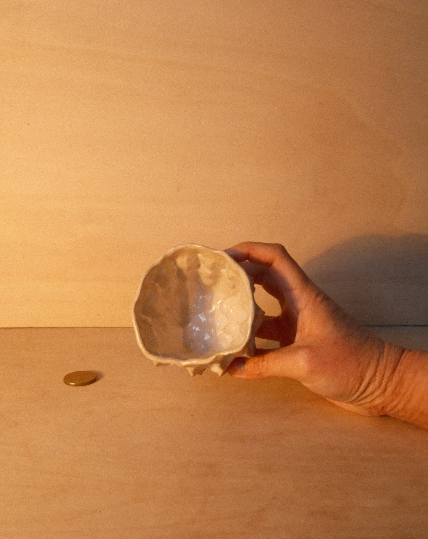 WHITE MOREL CUP 006