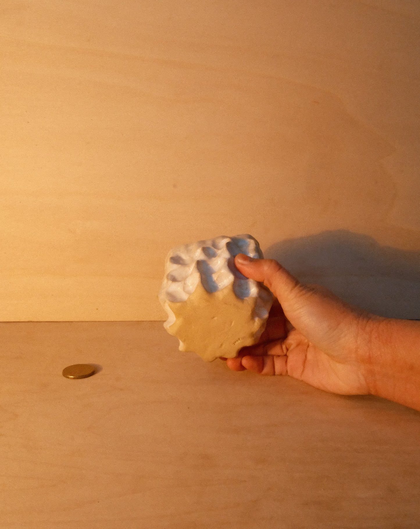 WHITE MOREL CUP 006