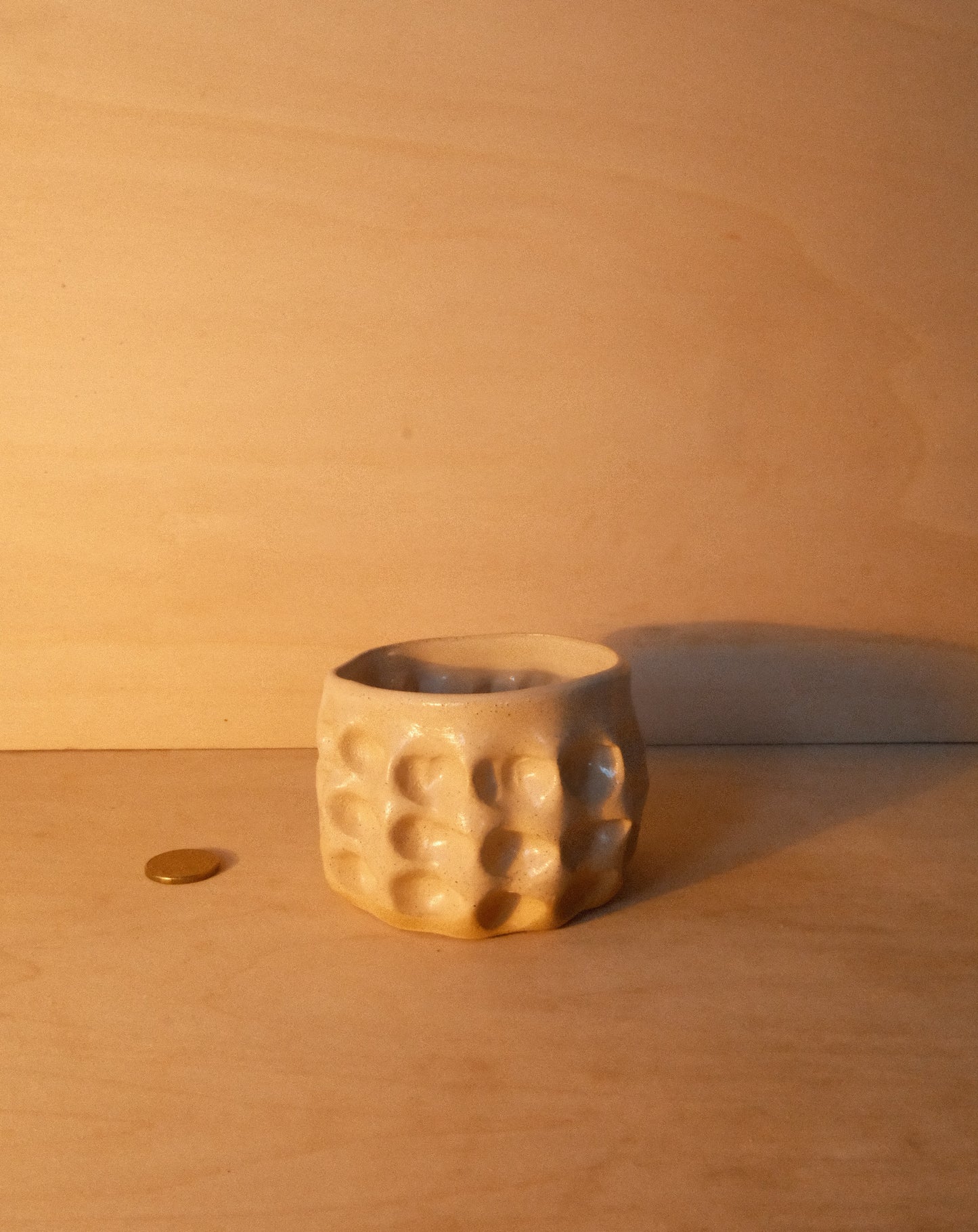 DUSK MOREL CUP 005