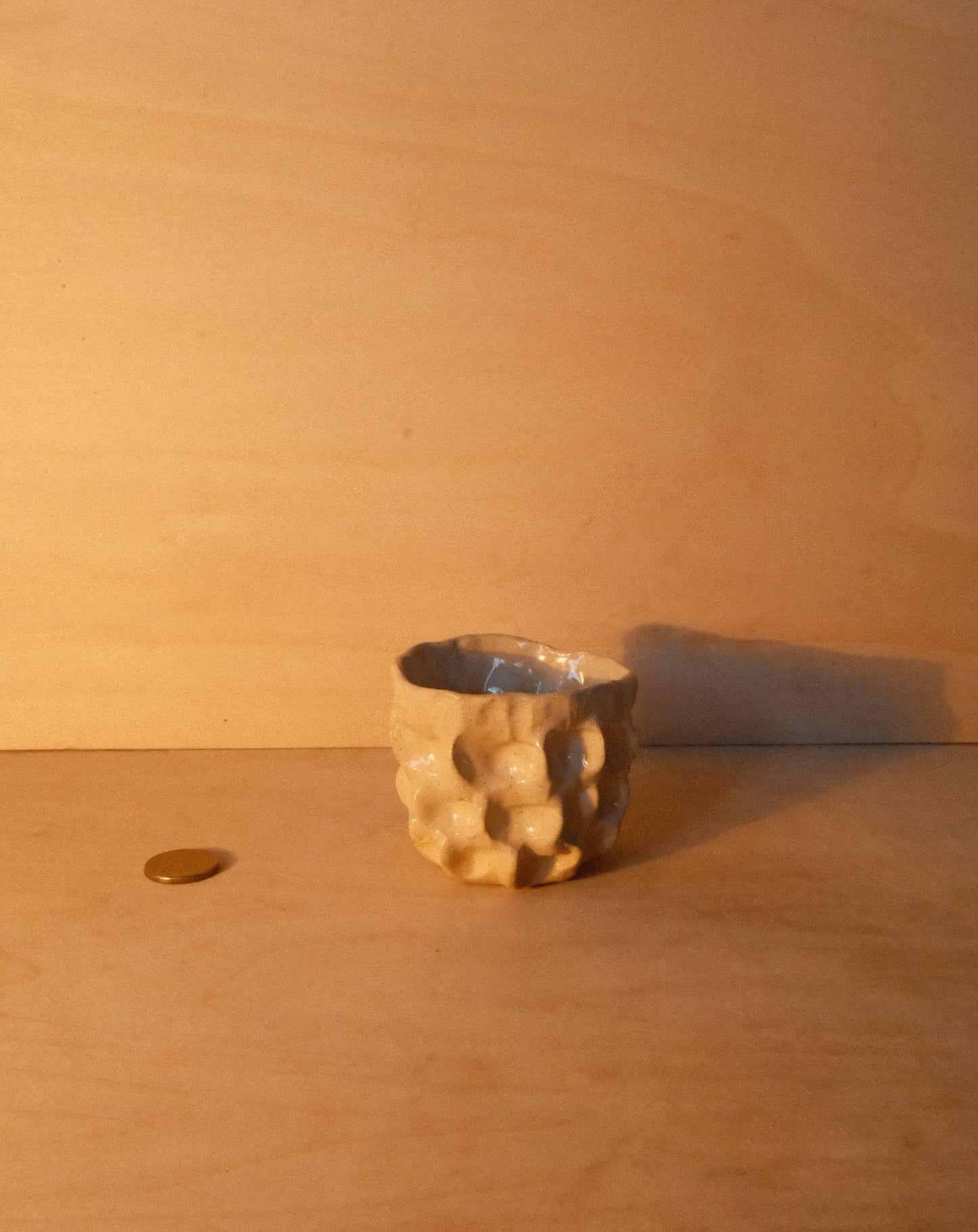 DUSK MOREL CUP 006
