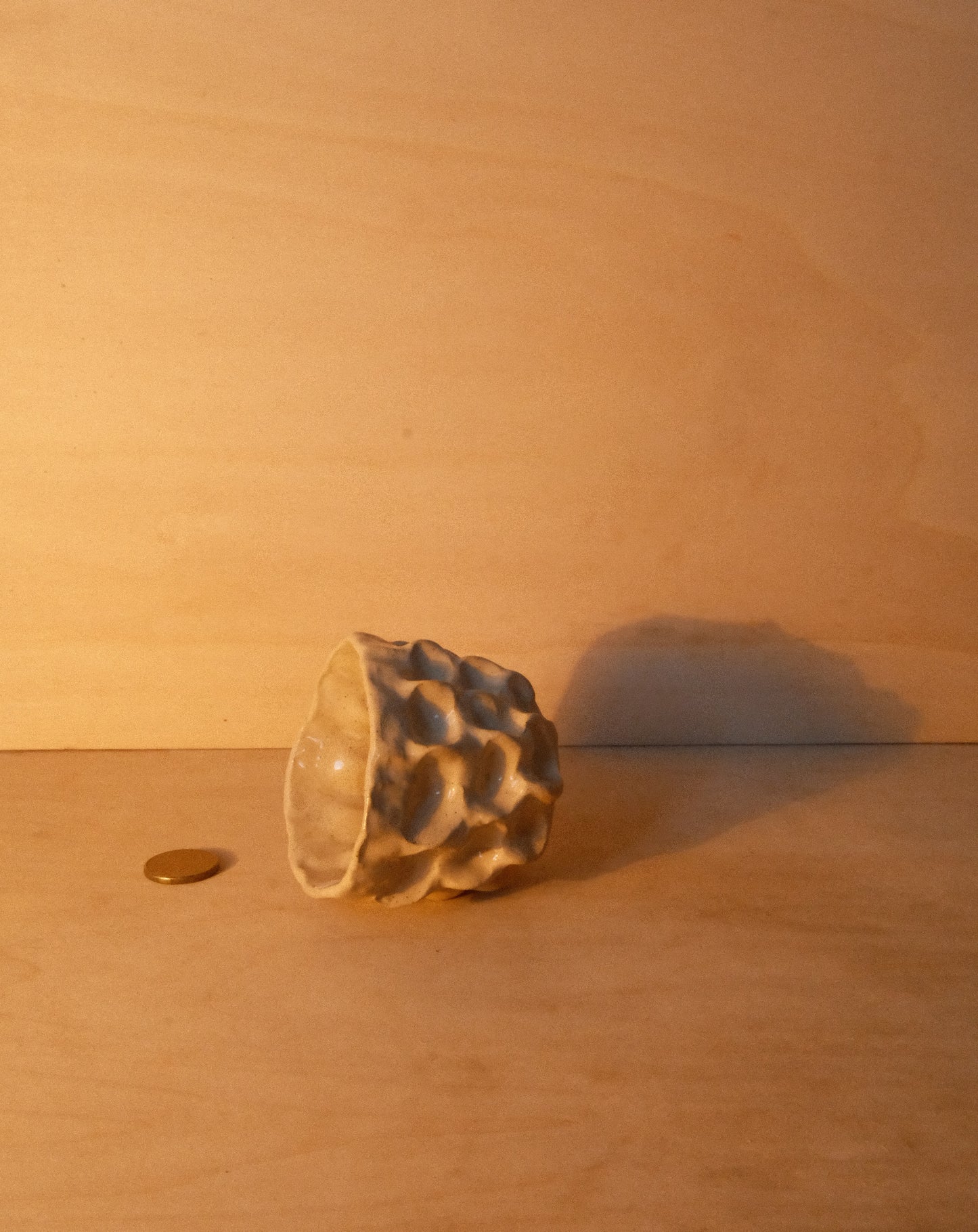 DUSK MOREL CUP 006
