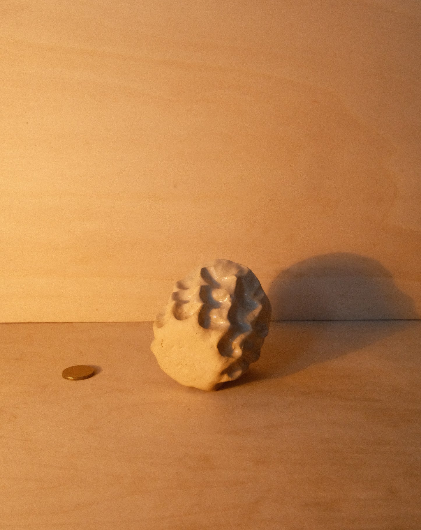 DUSK MOREL CUP 006