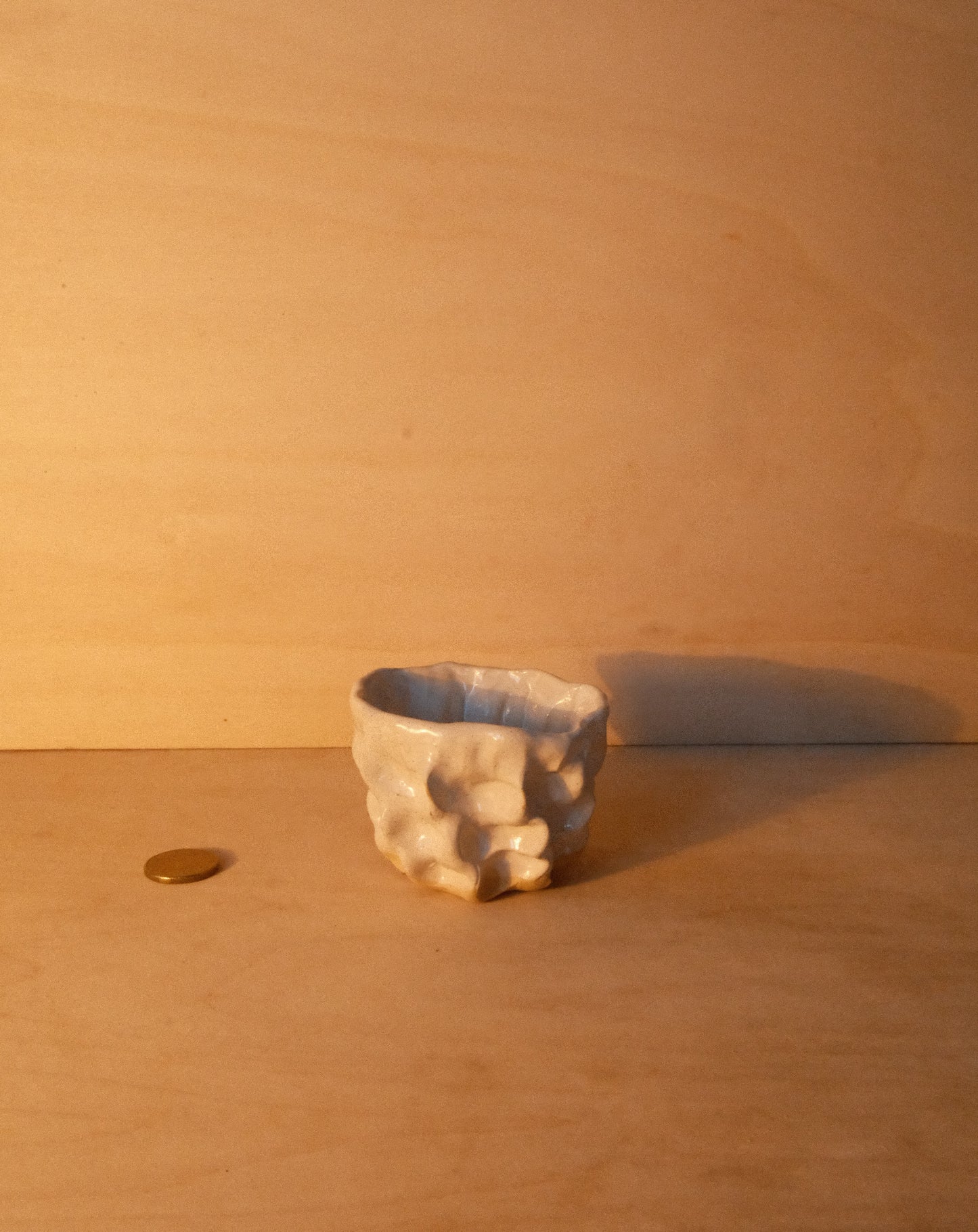 WHITE MOREL CUP 007