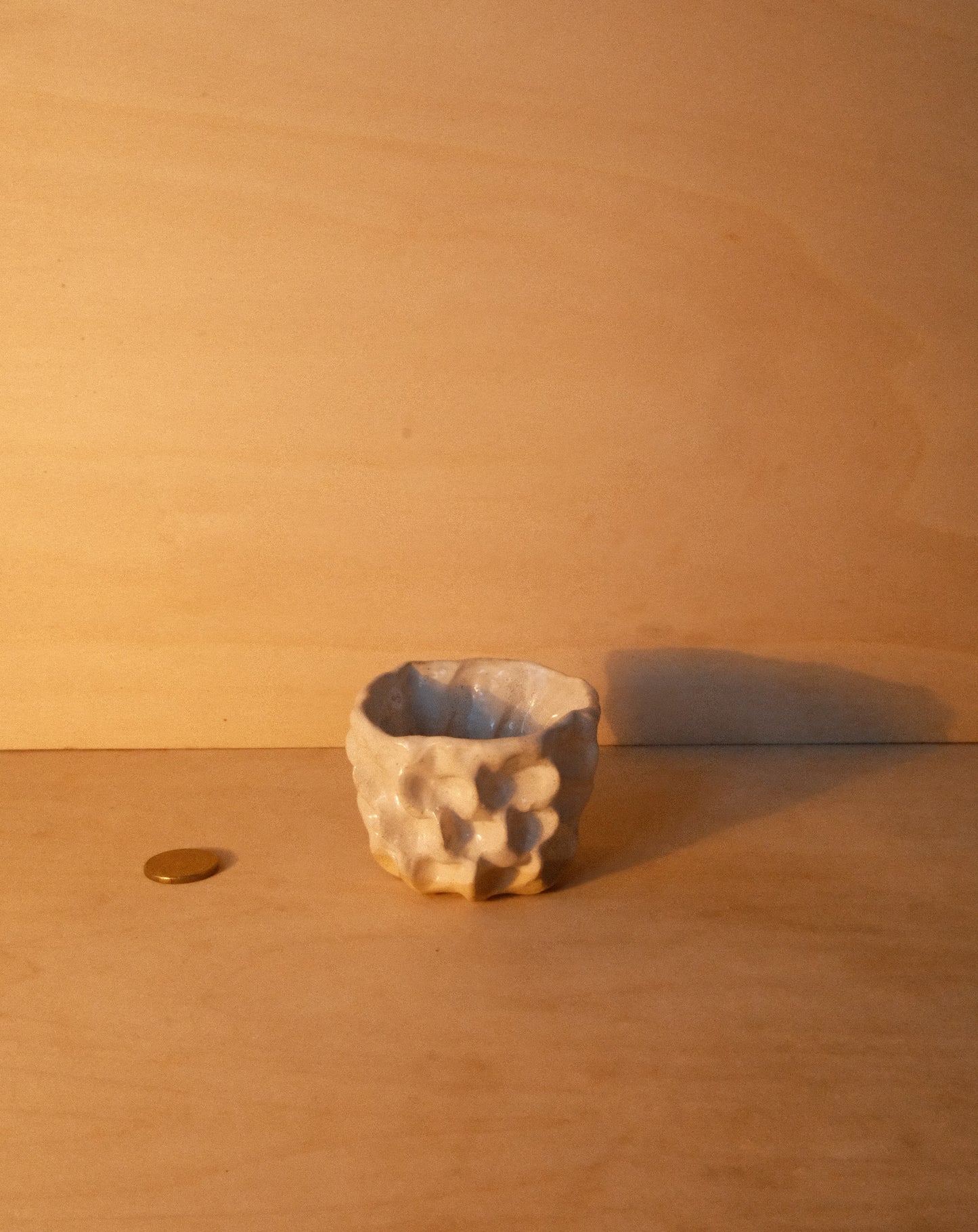 WHITE MOREL CUP 007