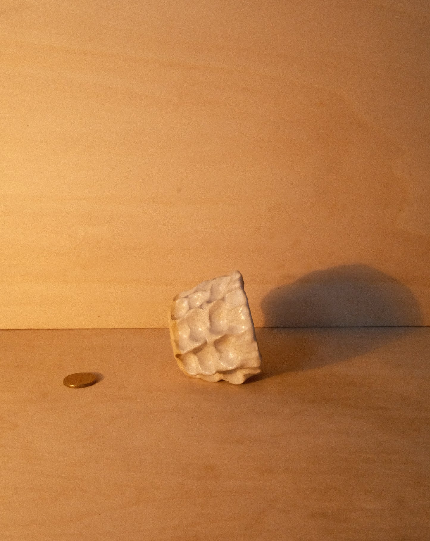 WHITE MOREL CUP 007