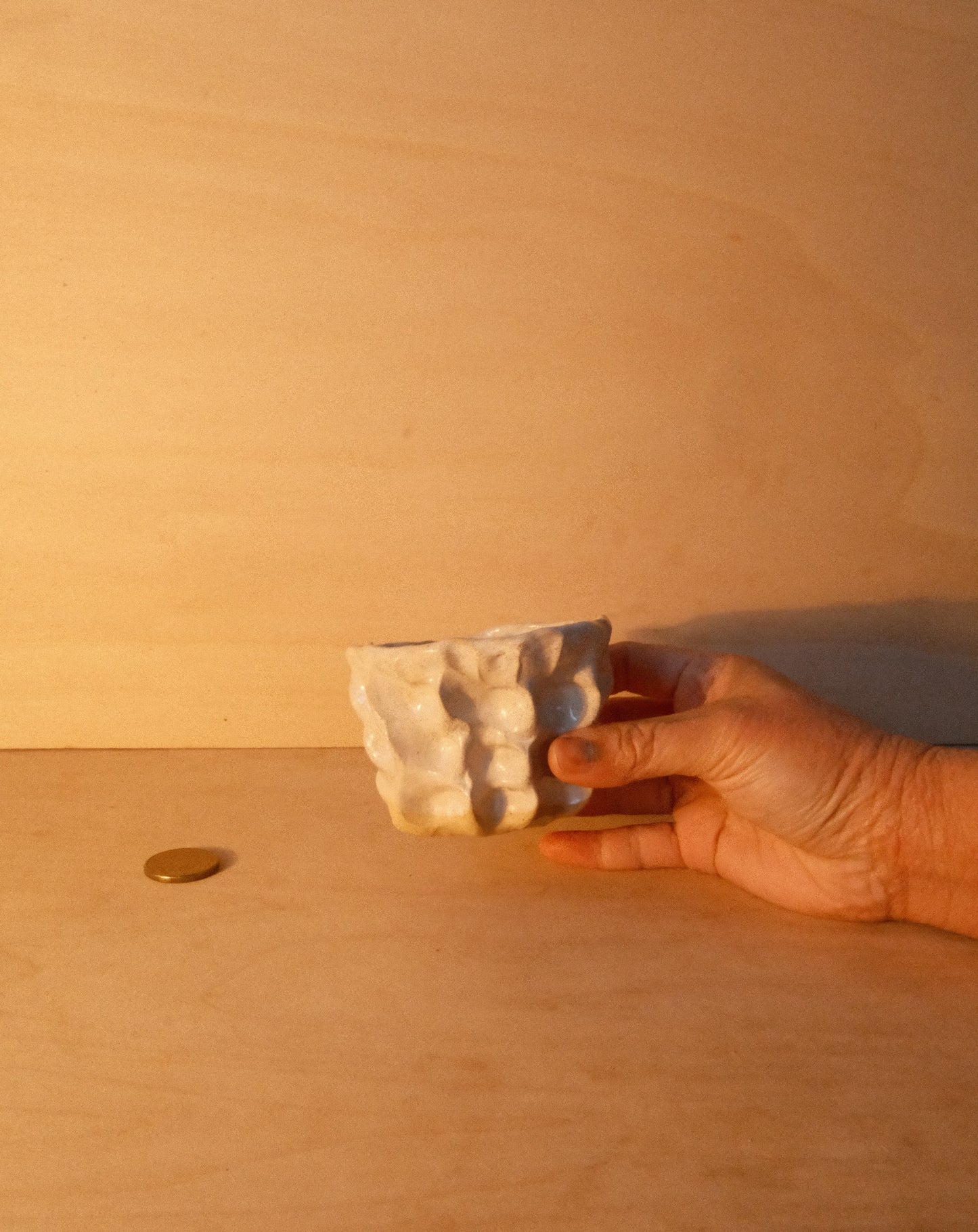 WHITE MOREL CUP 007
