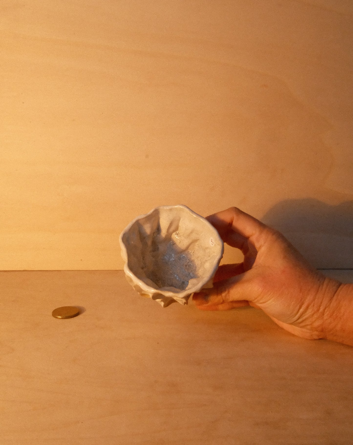 WHITE MOREL CUP 007