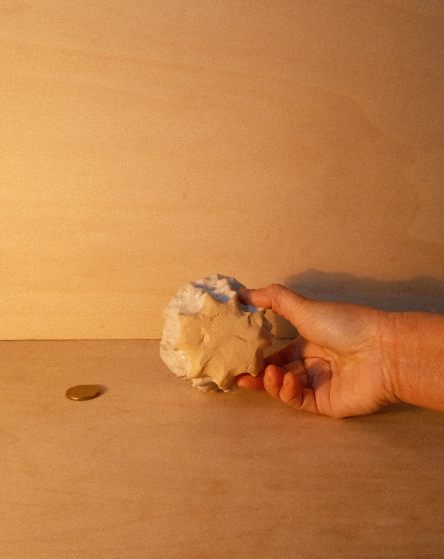 WHITE MOREL CUP 007