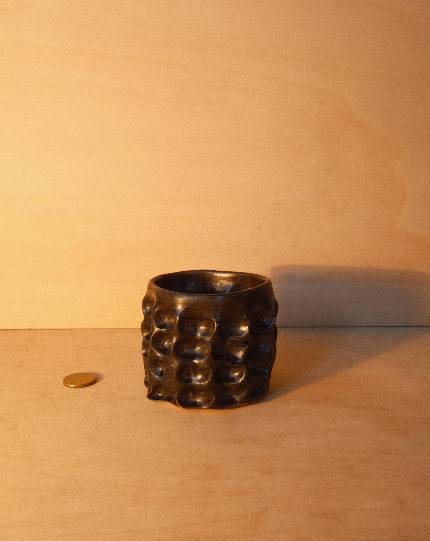 BLACK MOREL CUP 005