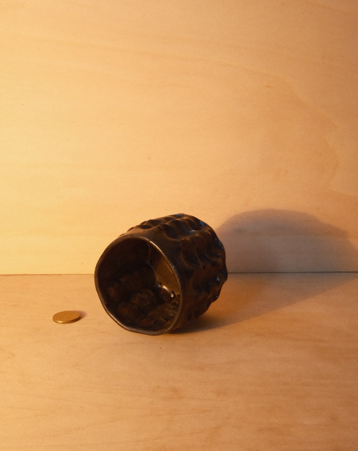 BLACK MOREL CUP 005