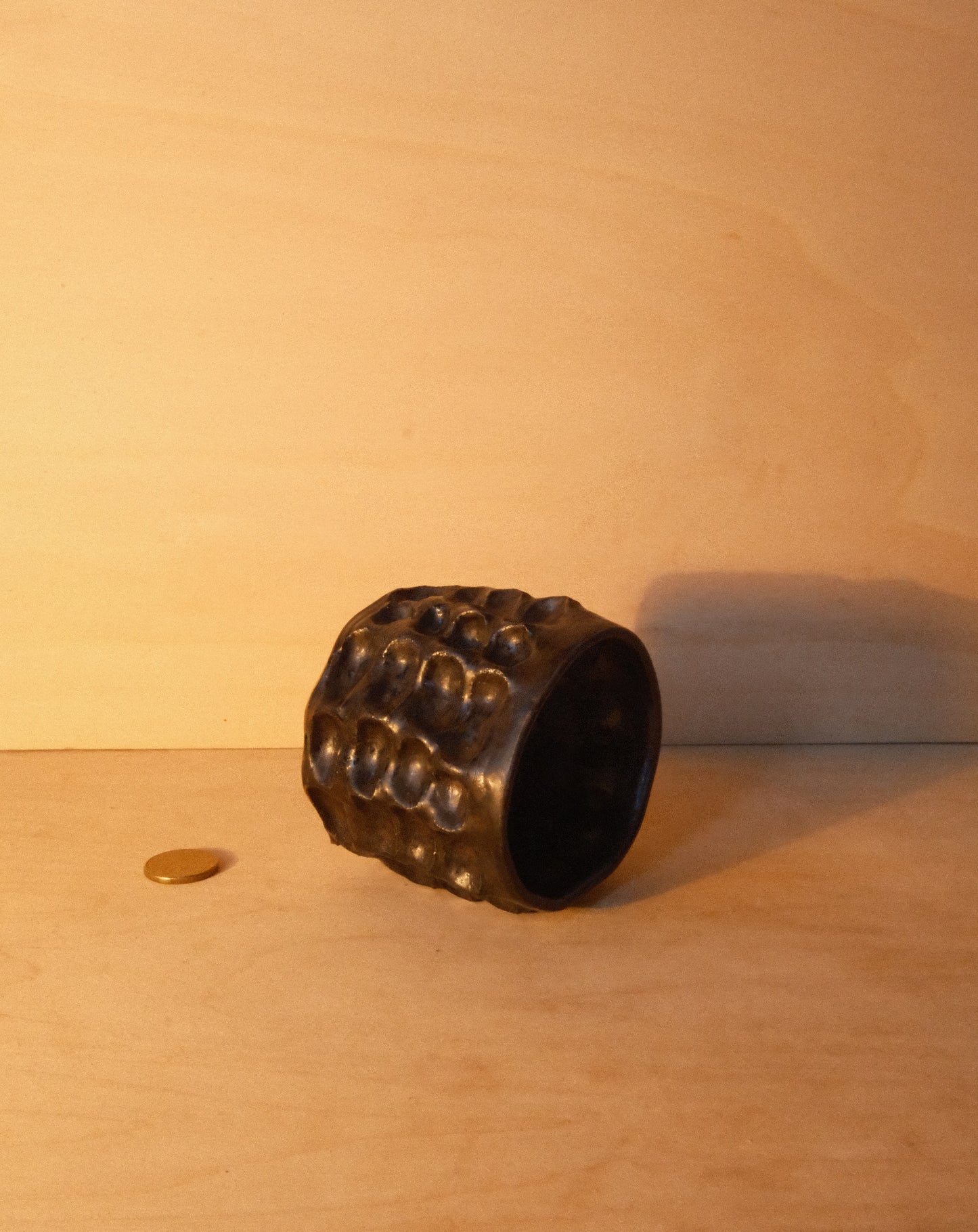 BLACK MOREL CUP 005