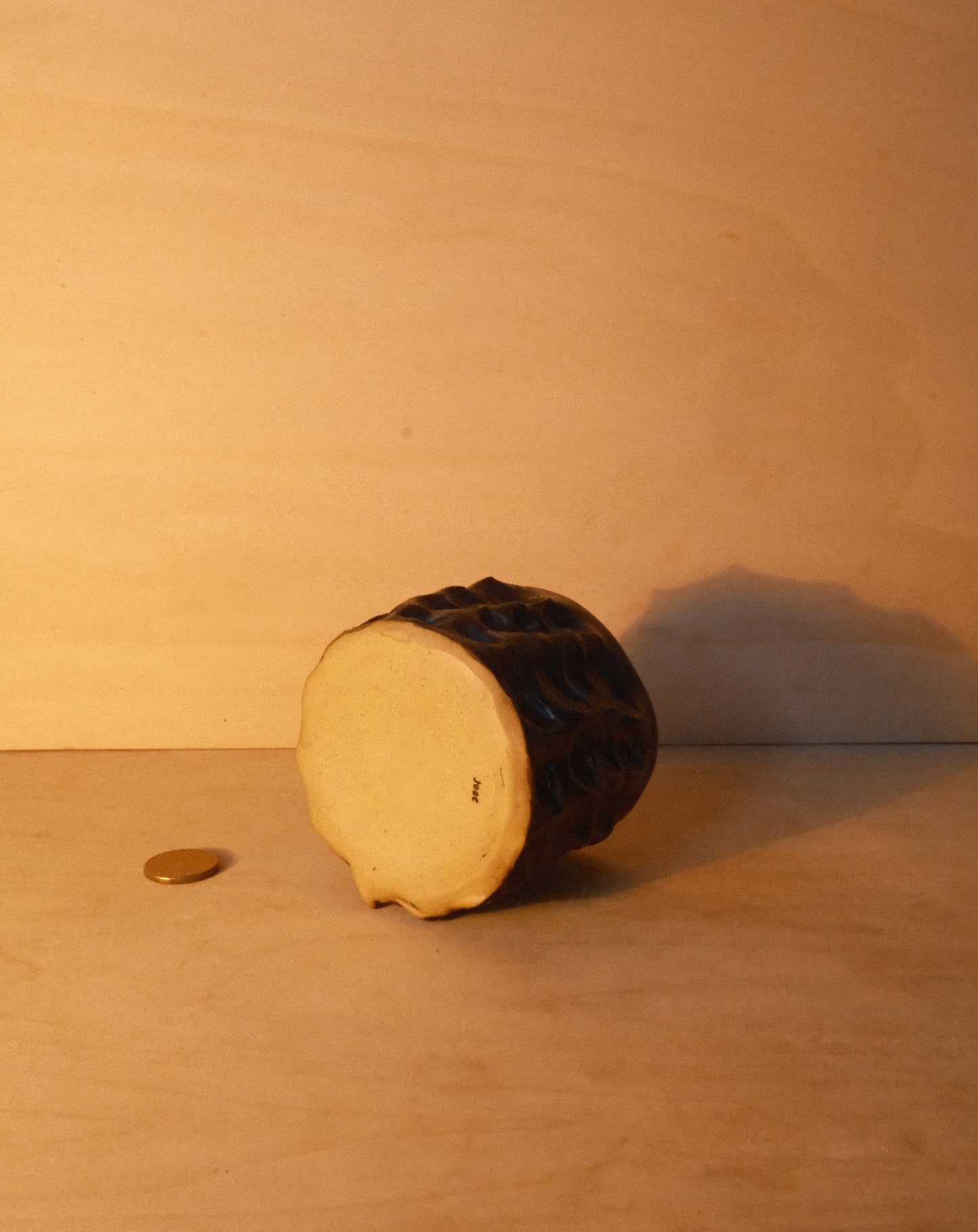 BLACK MOREL CUP 005