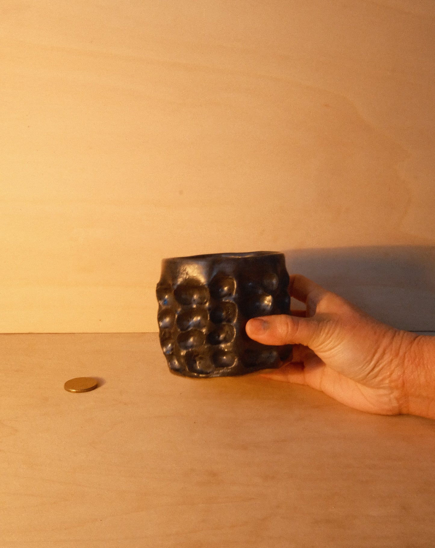 BLACK MOREL CUP 005