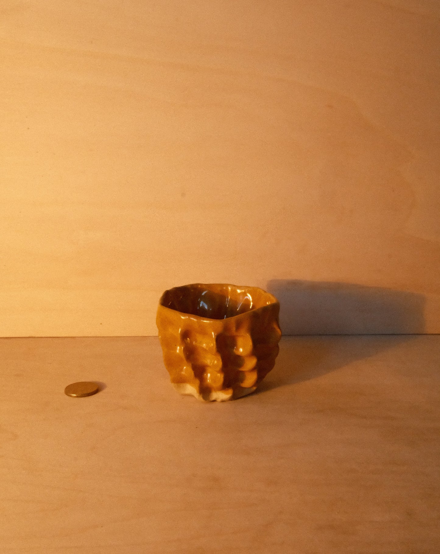 HONEY MOREL CUP 003