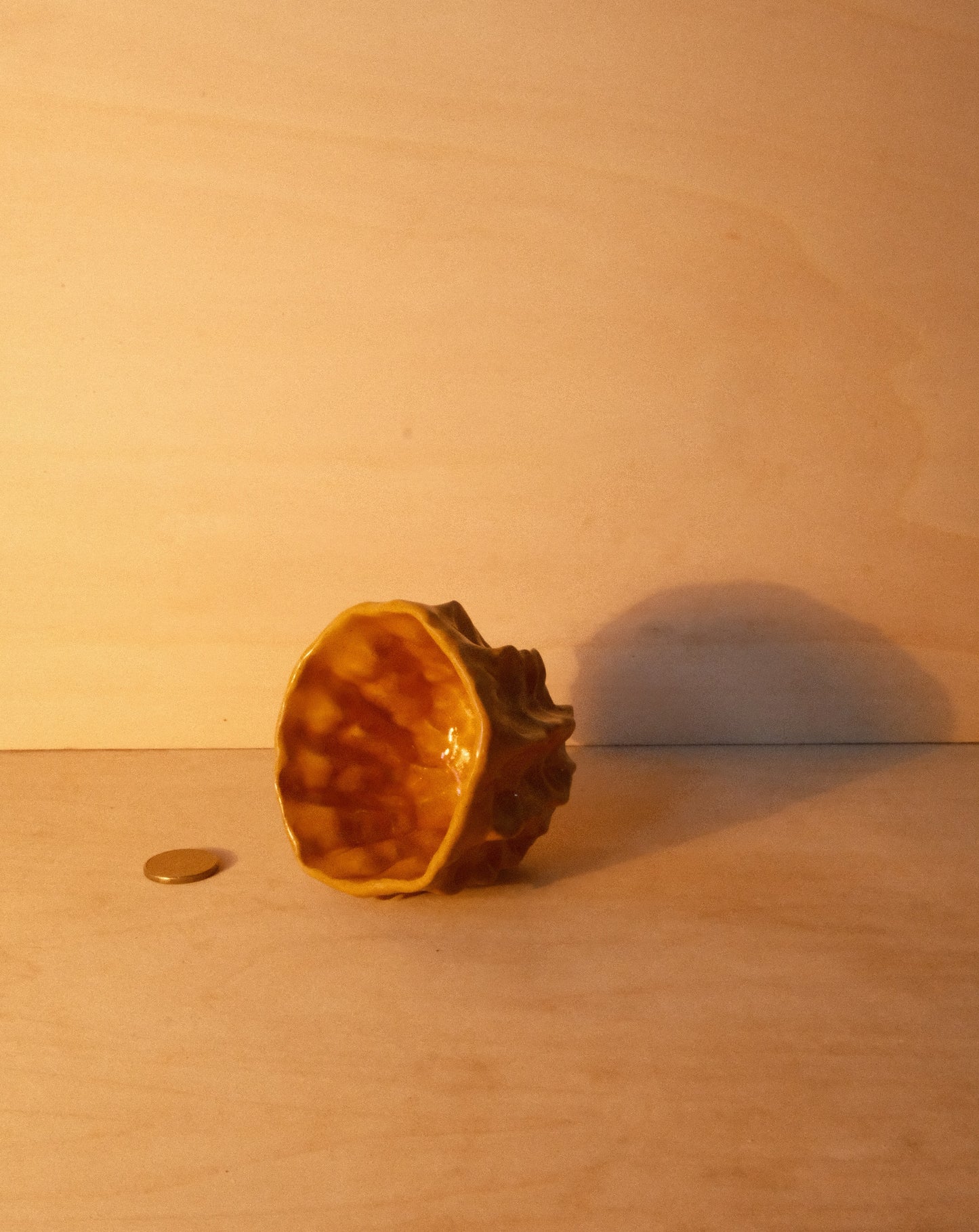 HONEY MOREL CUP 003