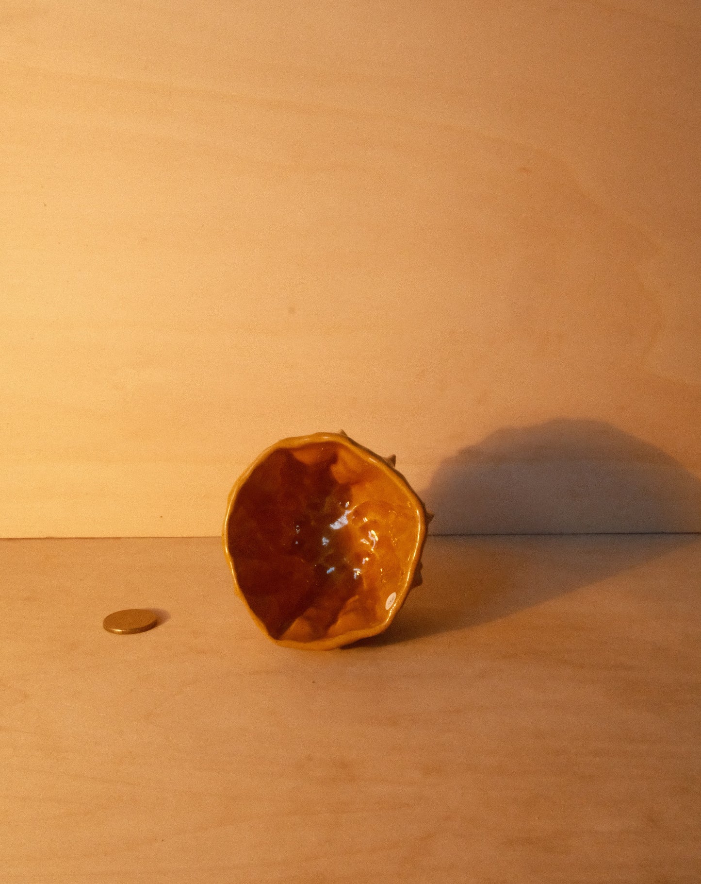 HONEY MOREL CUP 003
