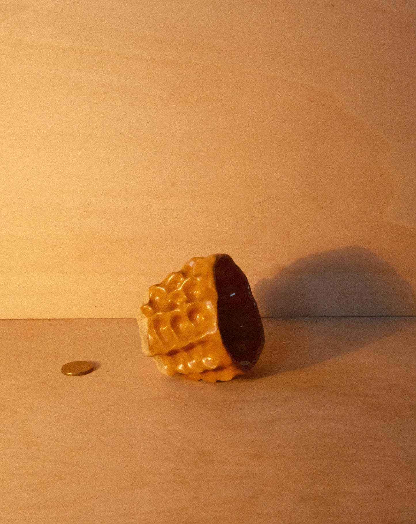 HONEY MOREL CUP 003