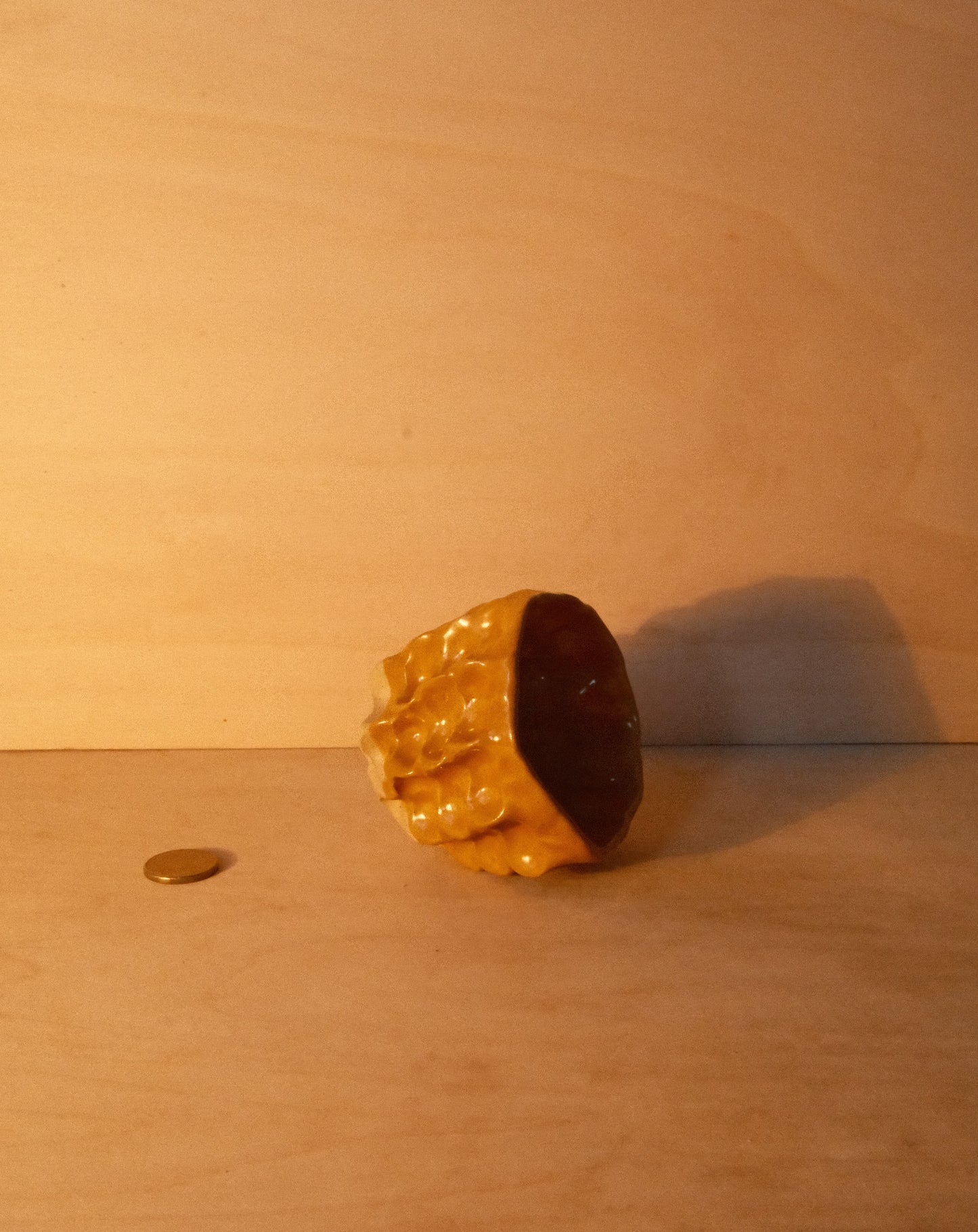 HONEY MOREL CUP 003