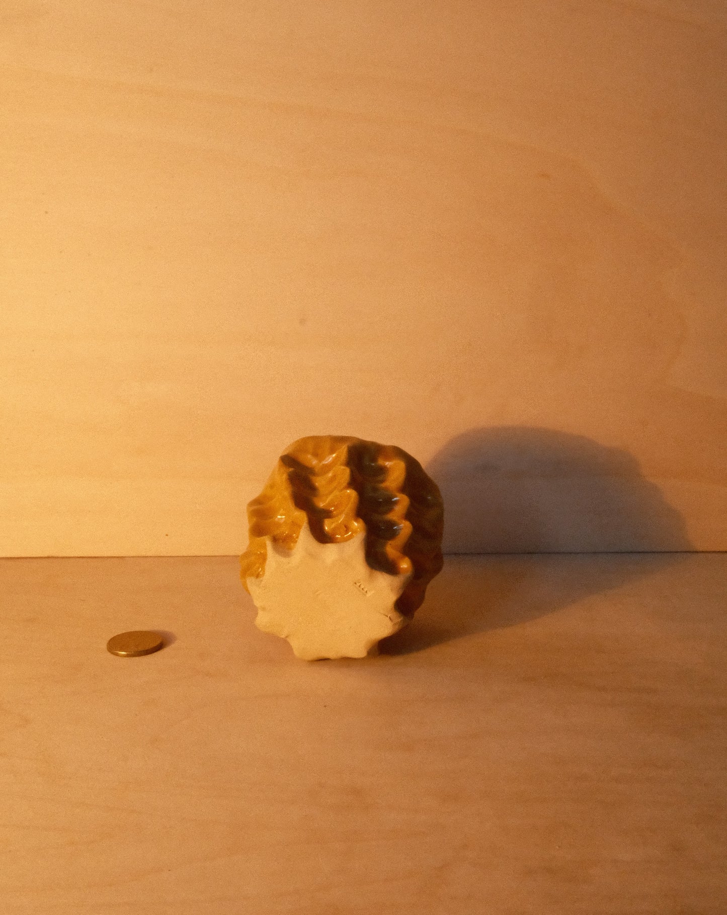 HONEY MOREL CUP 003