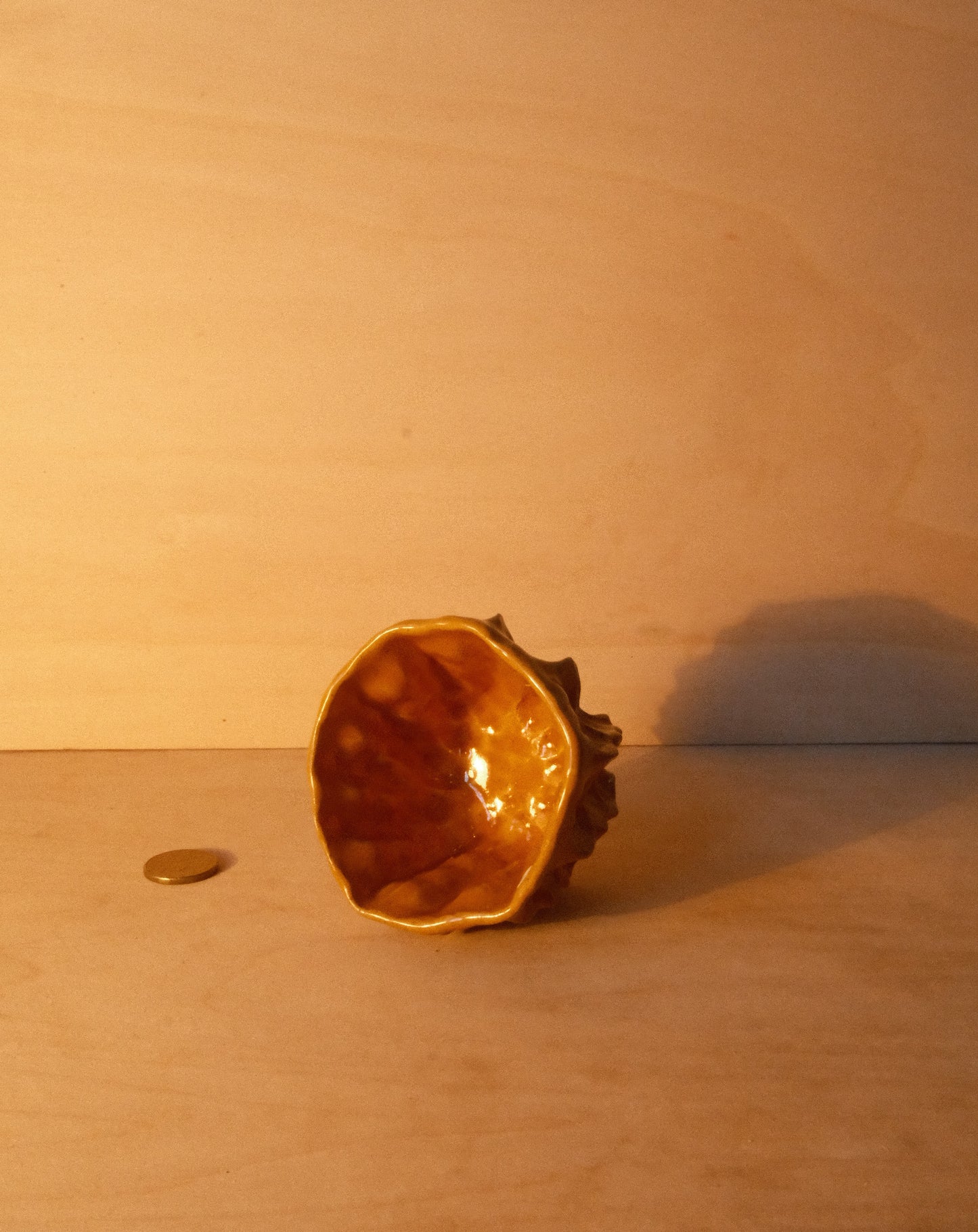 HONEY MOREL CUP 003