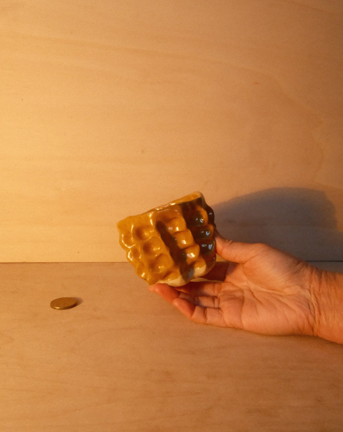 HONEY MOREL CUP 003
