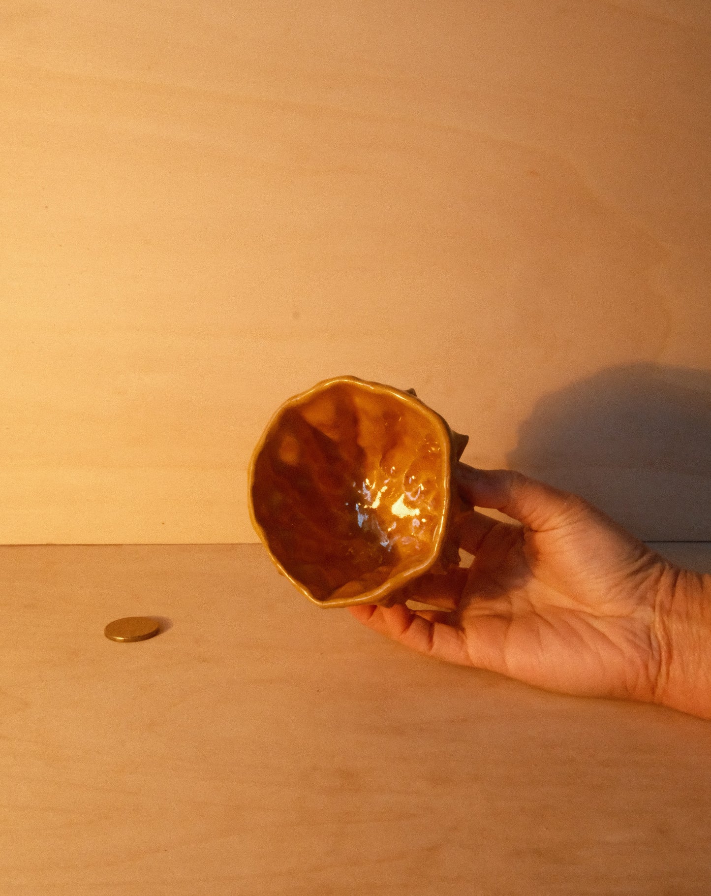HONEY MOREL CUP 003
