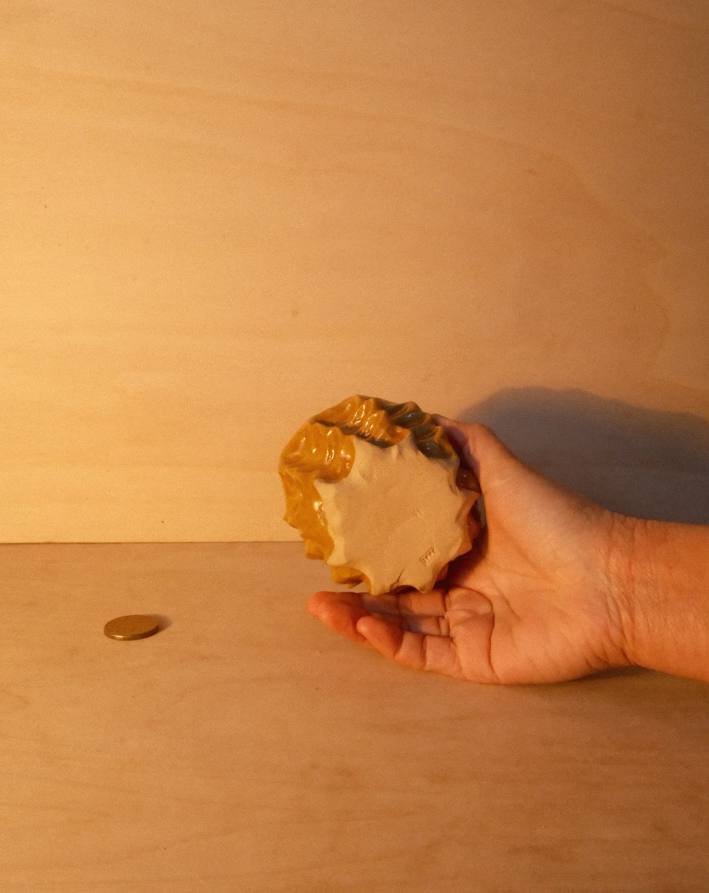 HONEY MOREL CUP 003
