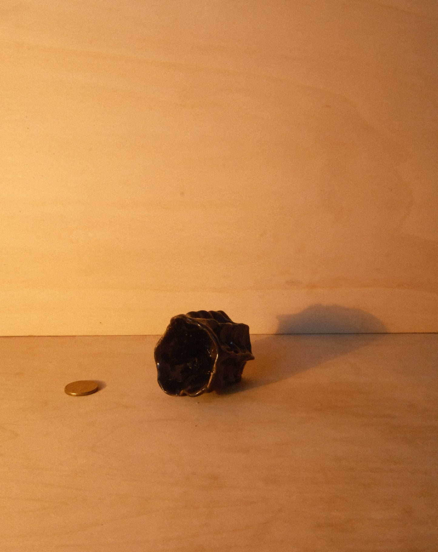 BLACK MOREL CUP 006