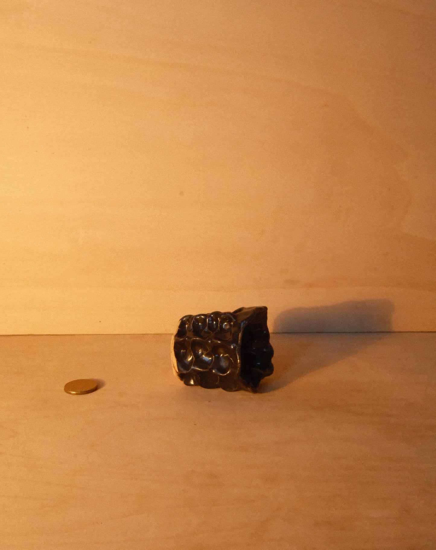 BLACK MOREL CUP 006