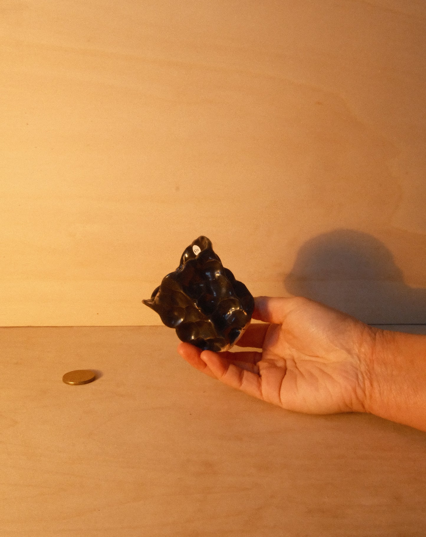 BLACK MOREL CUP 006