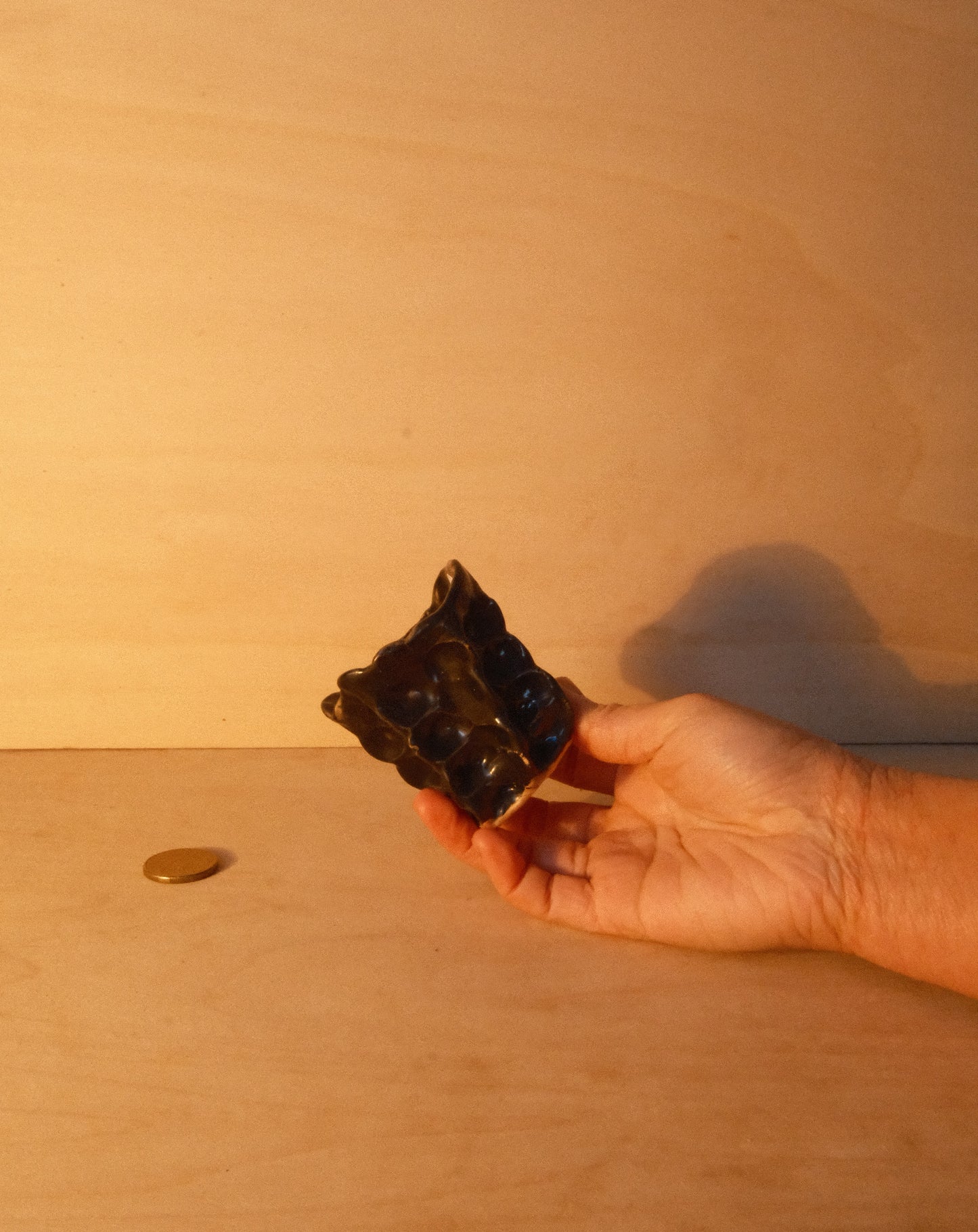 BLACK MOREL CUP 006