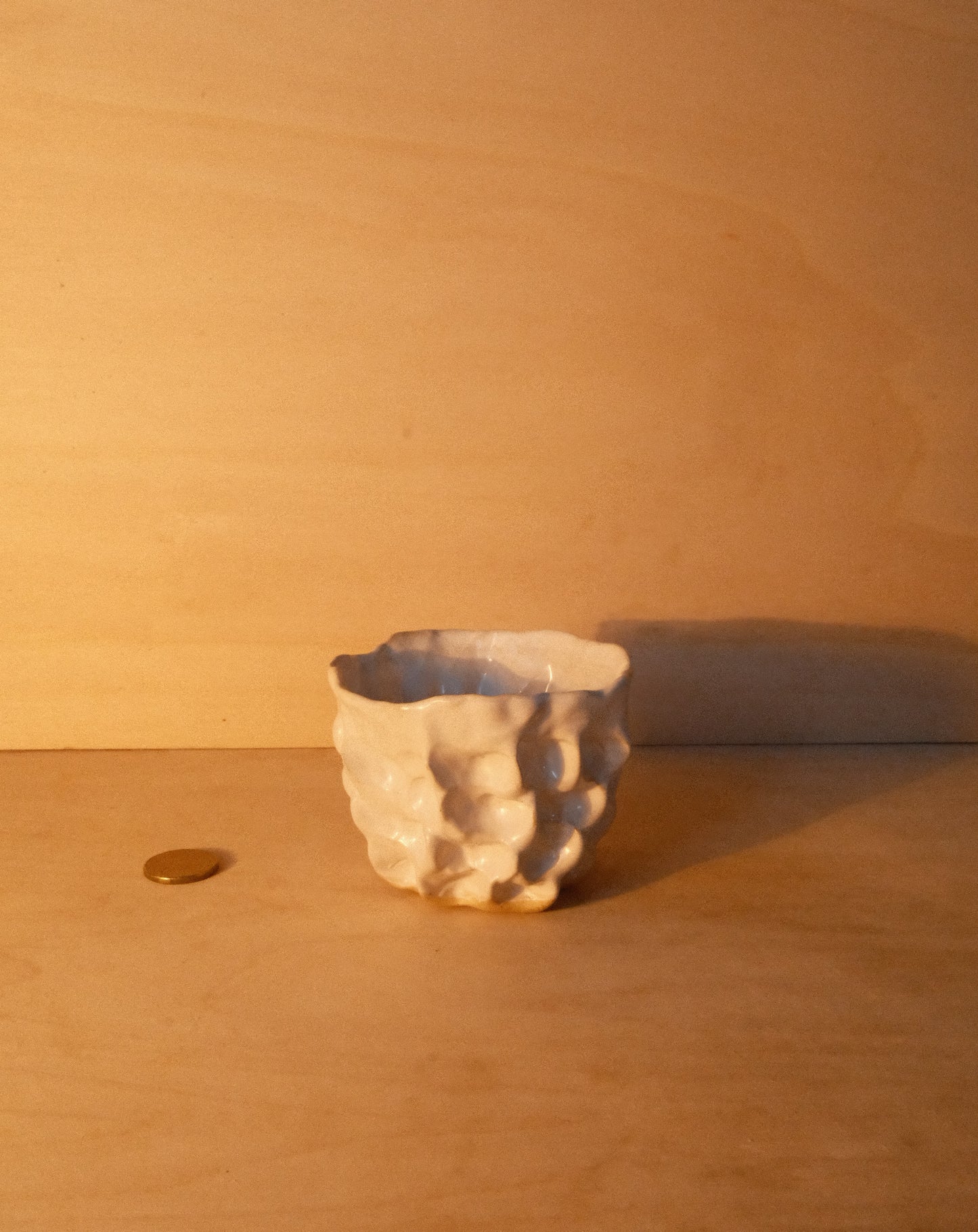 WHITE MOREL CUP 008