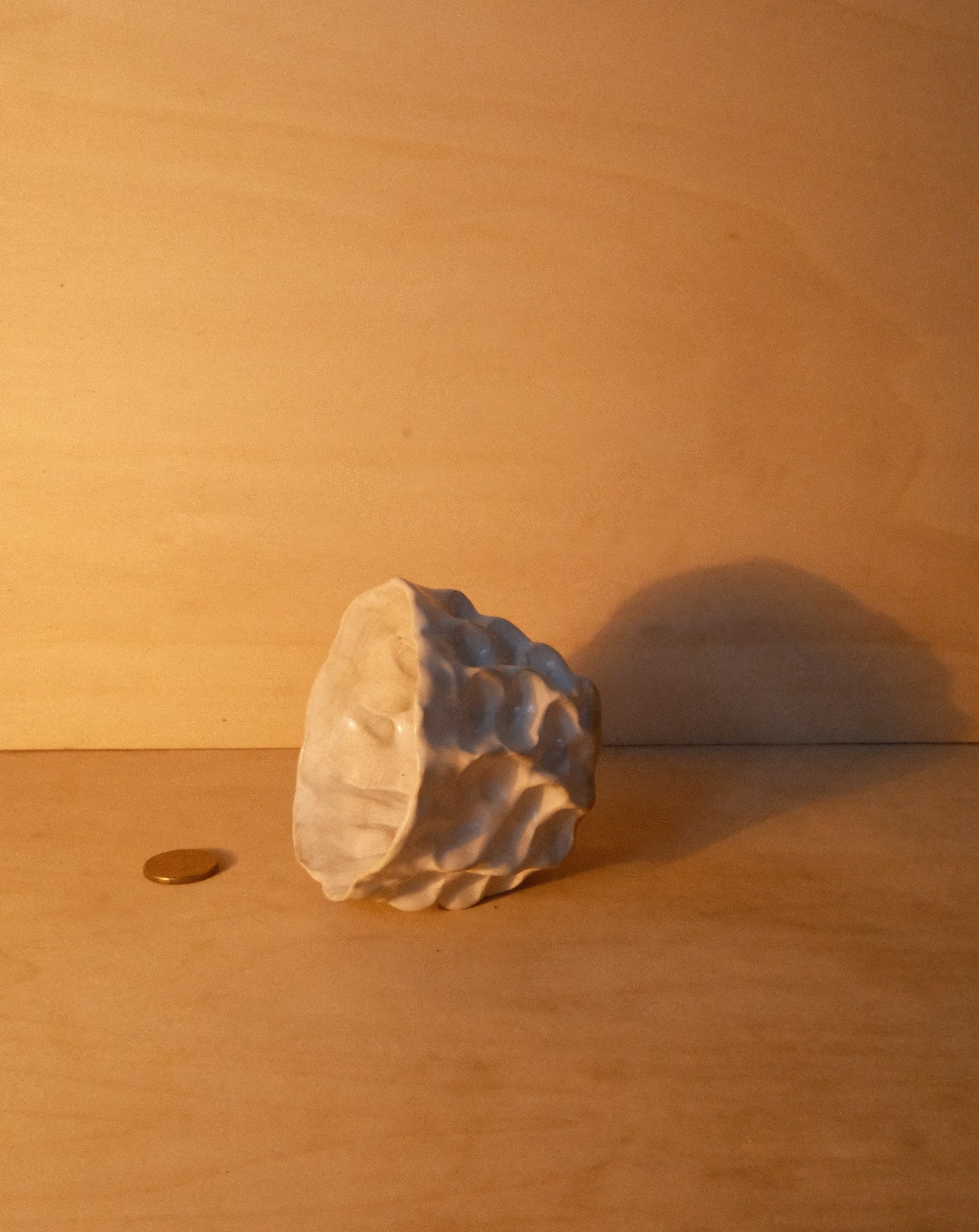 WHITE MOREL CUP 008