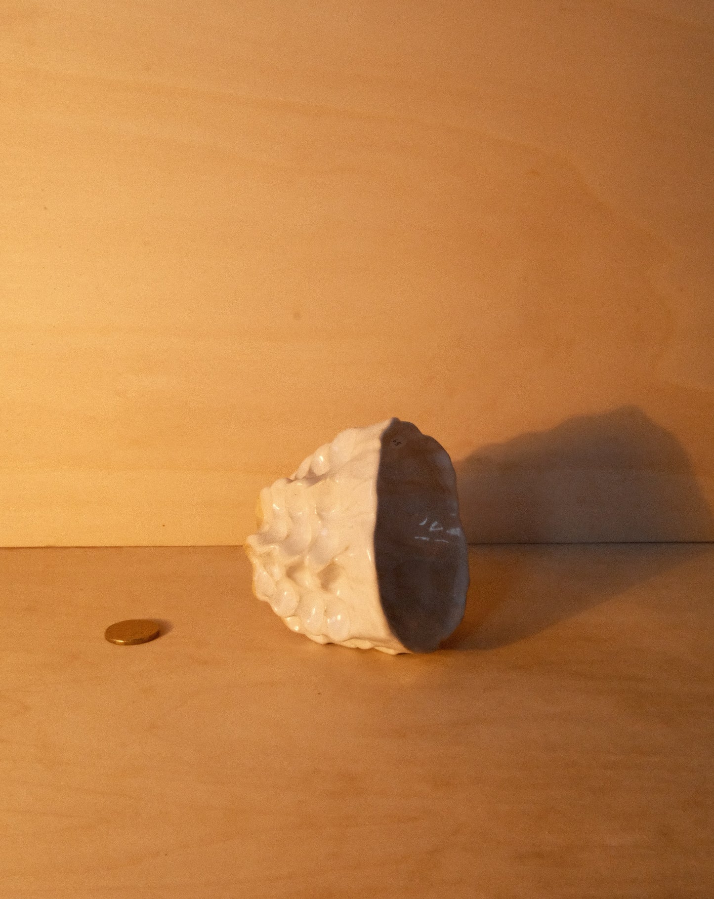 WHITE MOREL CUP 008