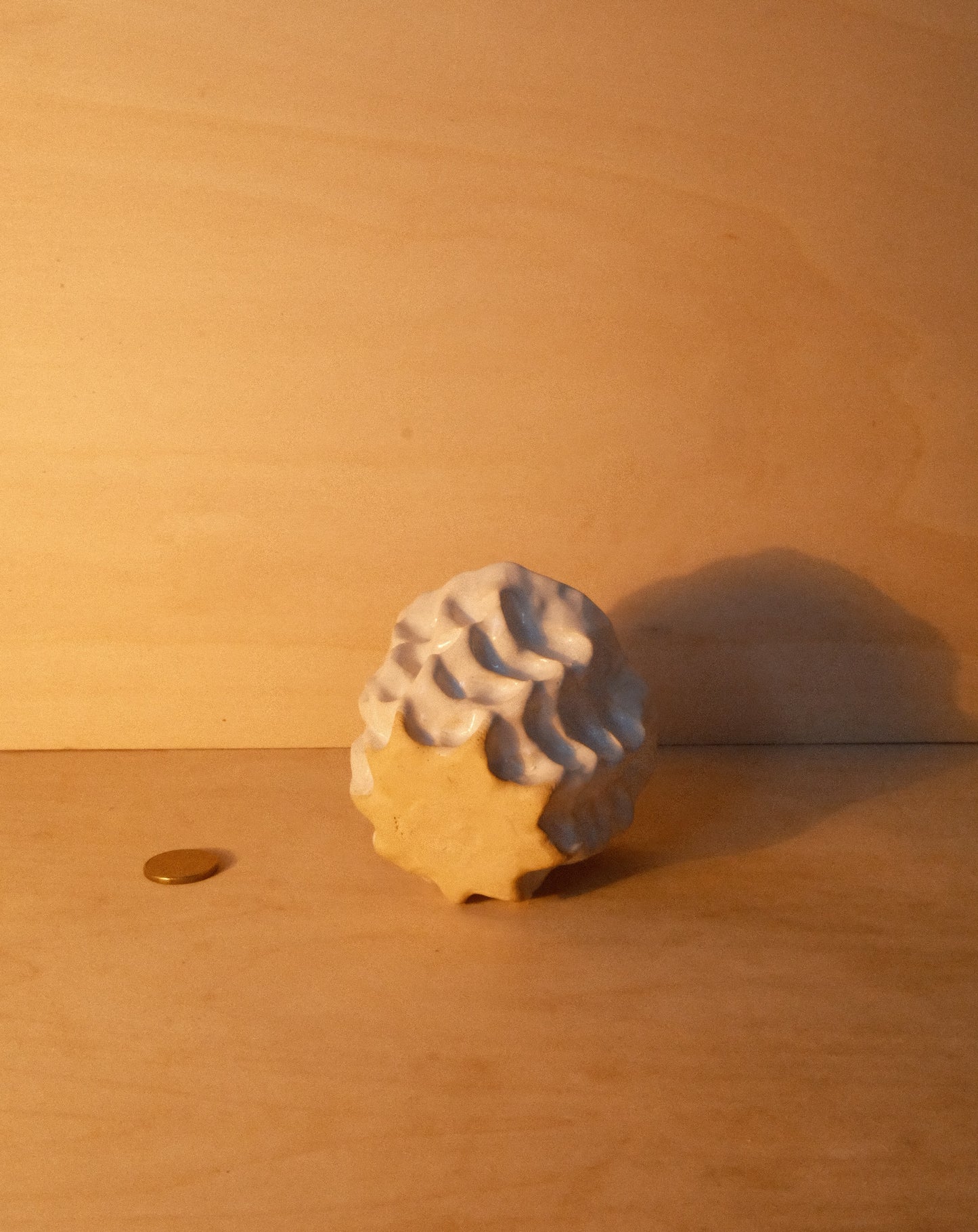 WHITE MOREL CUP 008