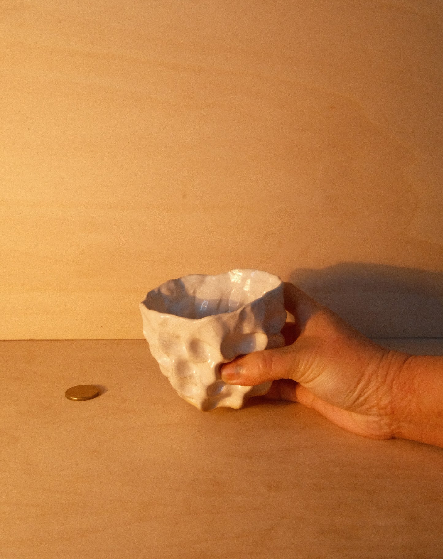 WHITE MOREL CUP 008